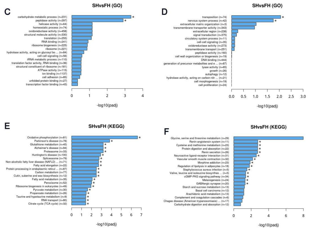 Preprints 221897 g009b