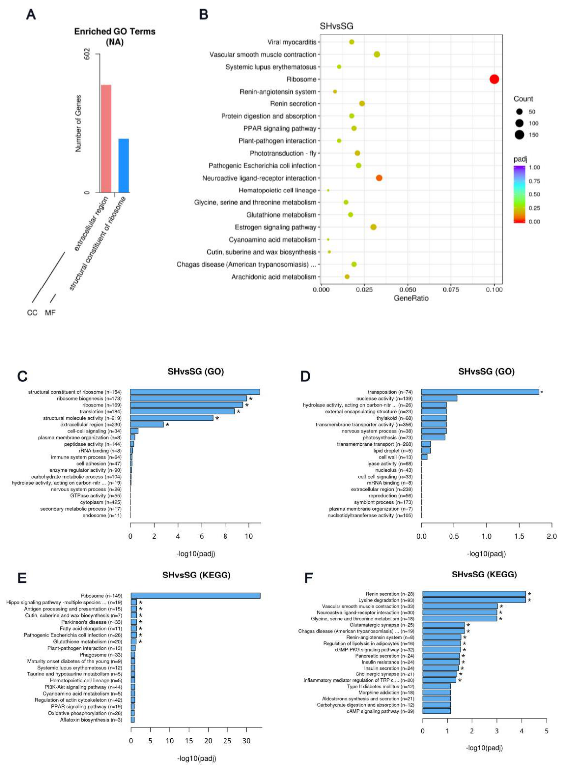 Preprints 221897 g010 Preprints 221897 g010