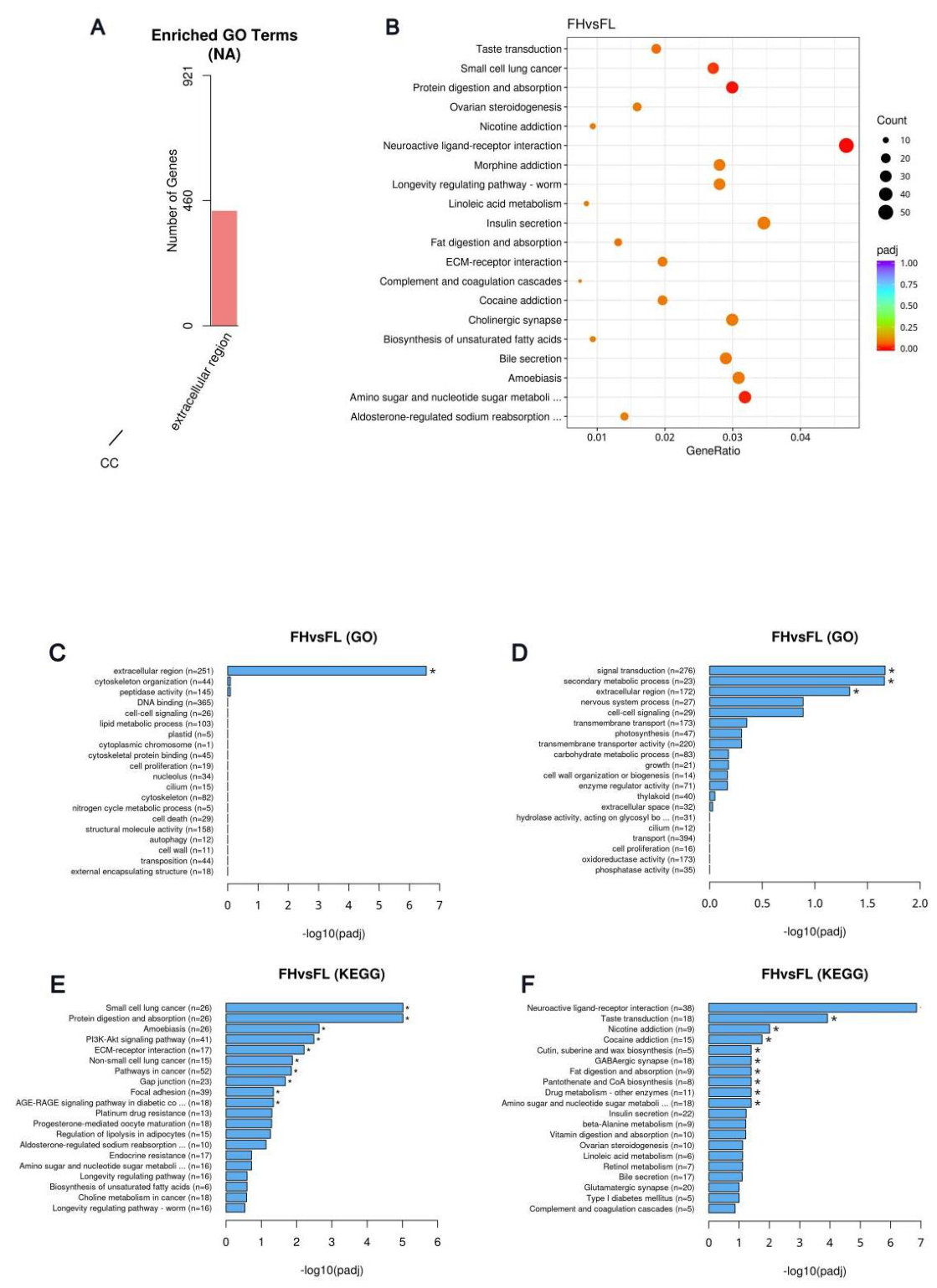 Preprints 221897 g011 Preprints 221897 g011
