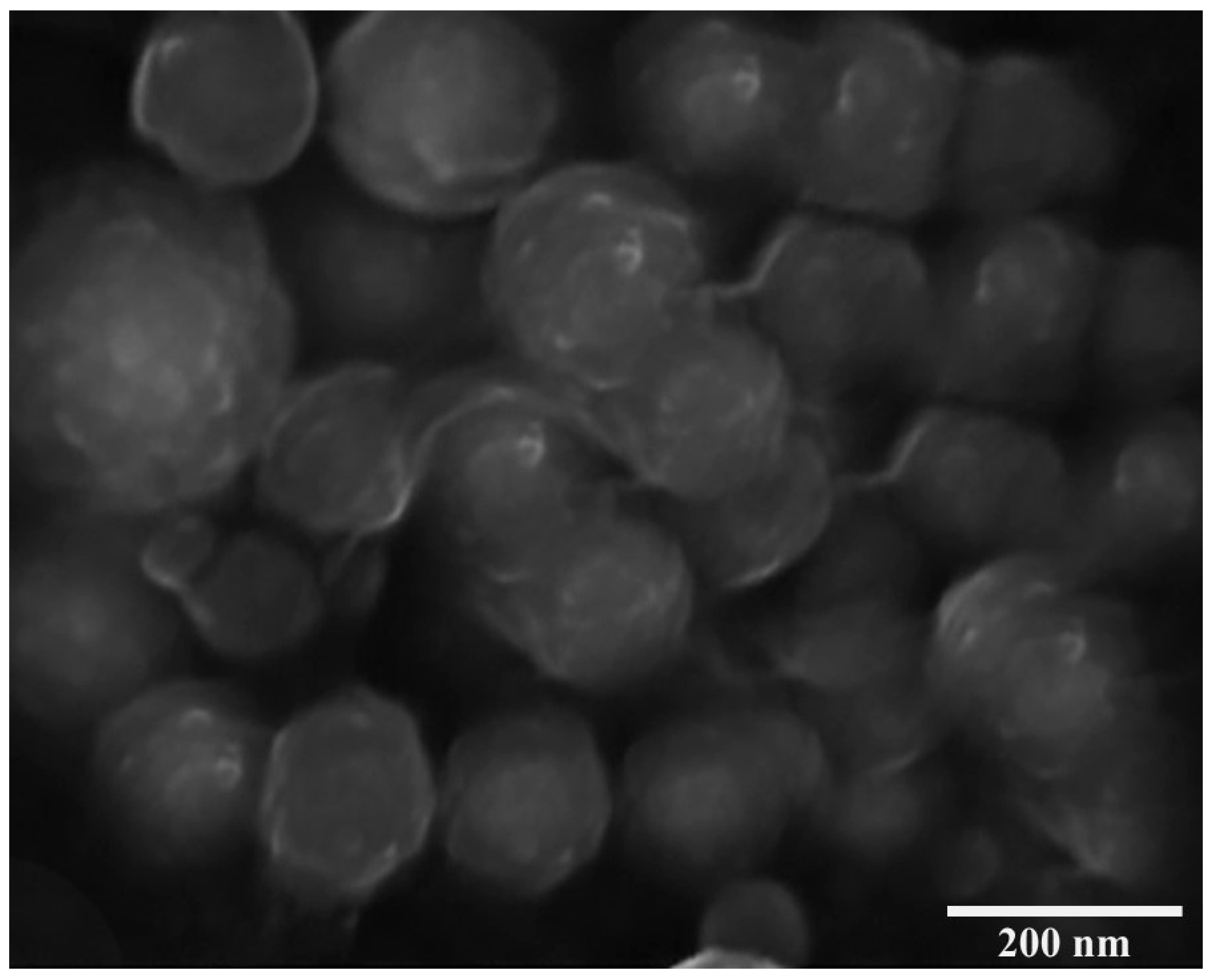 Preprints 194716 g002