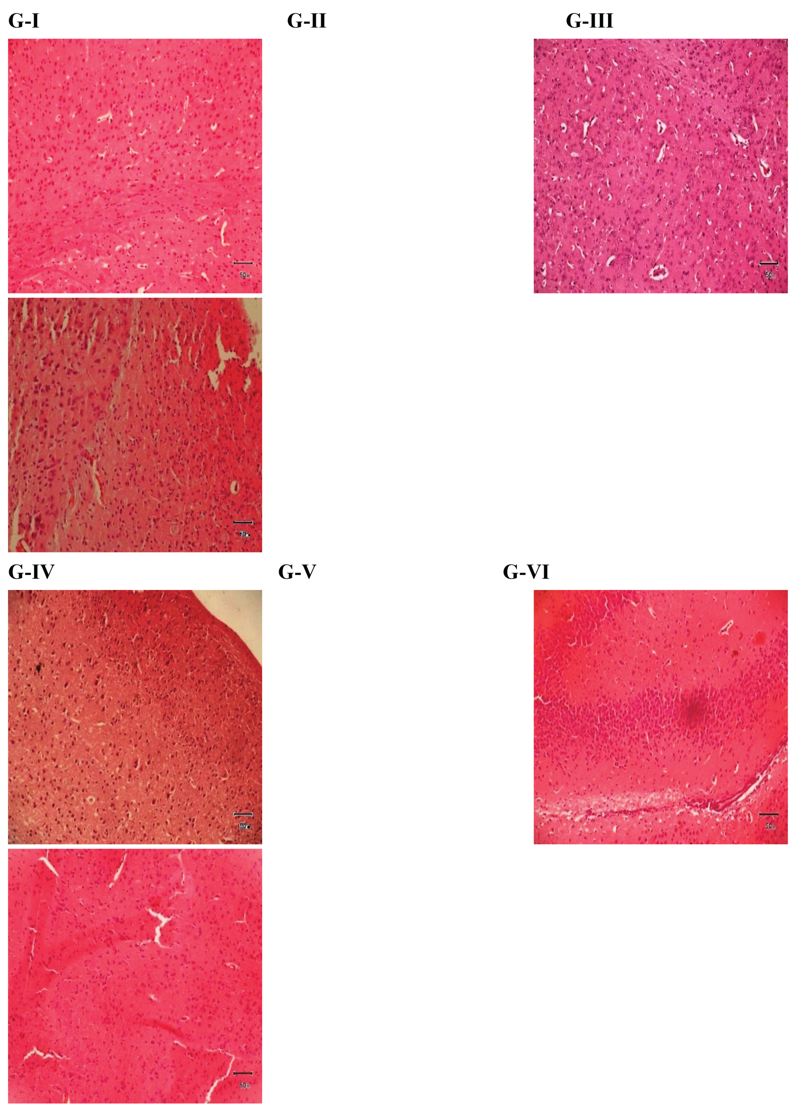 Preprints 194716 g004