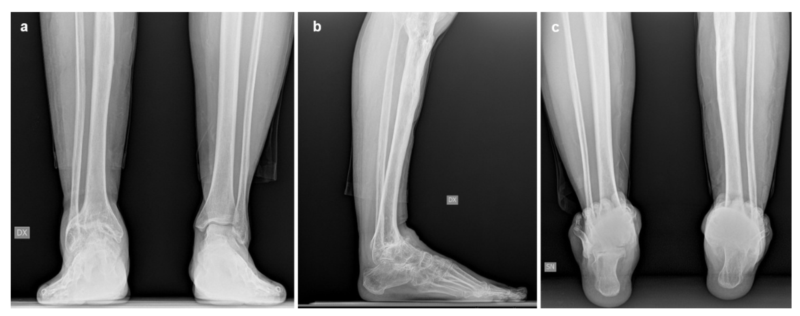 Preprints 198206 g001