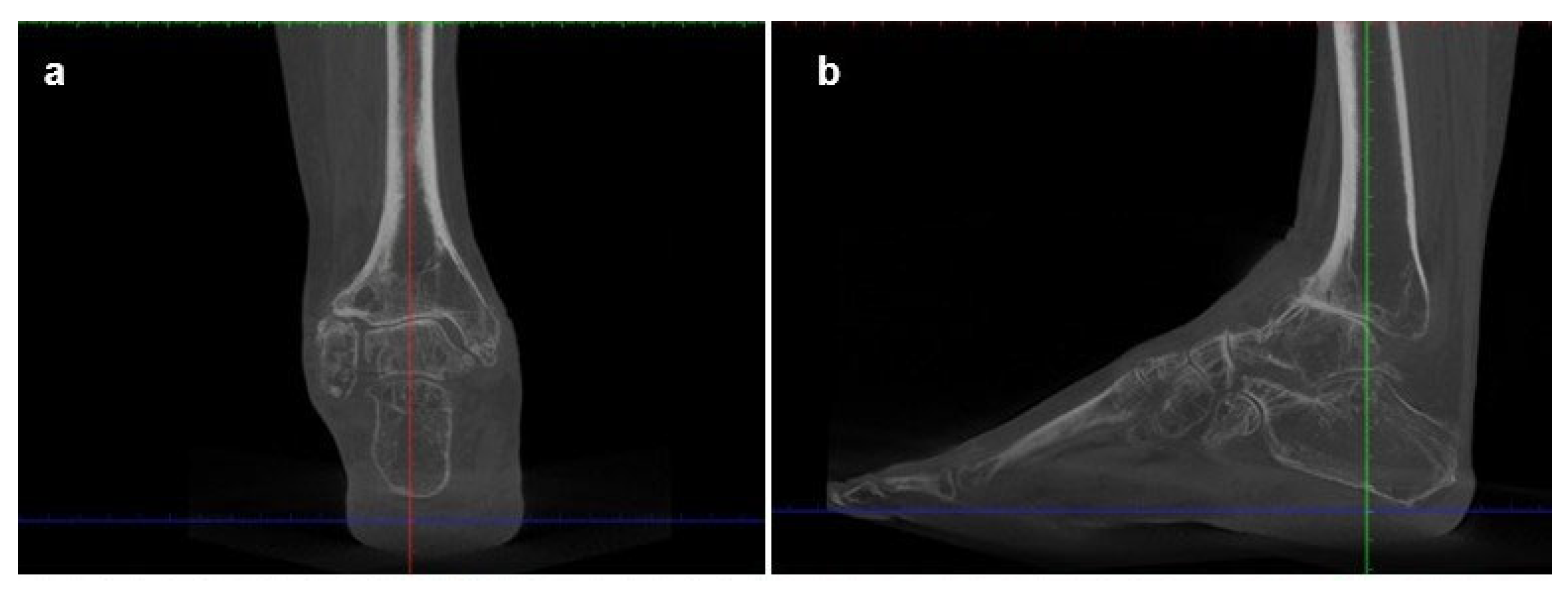 Preprints 198206 g002