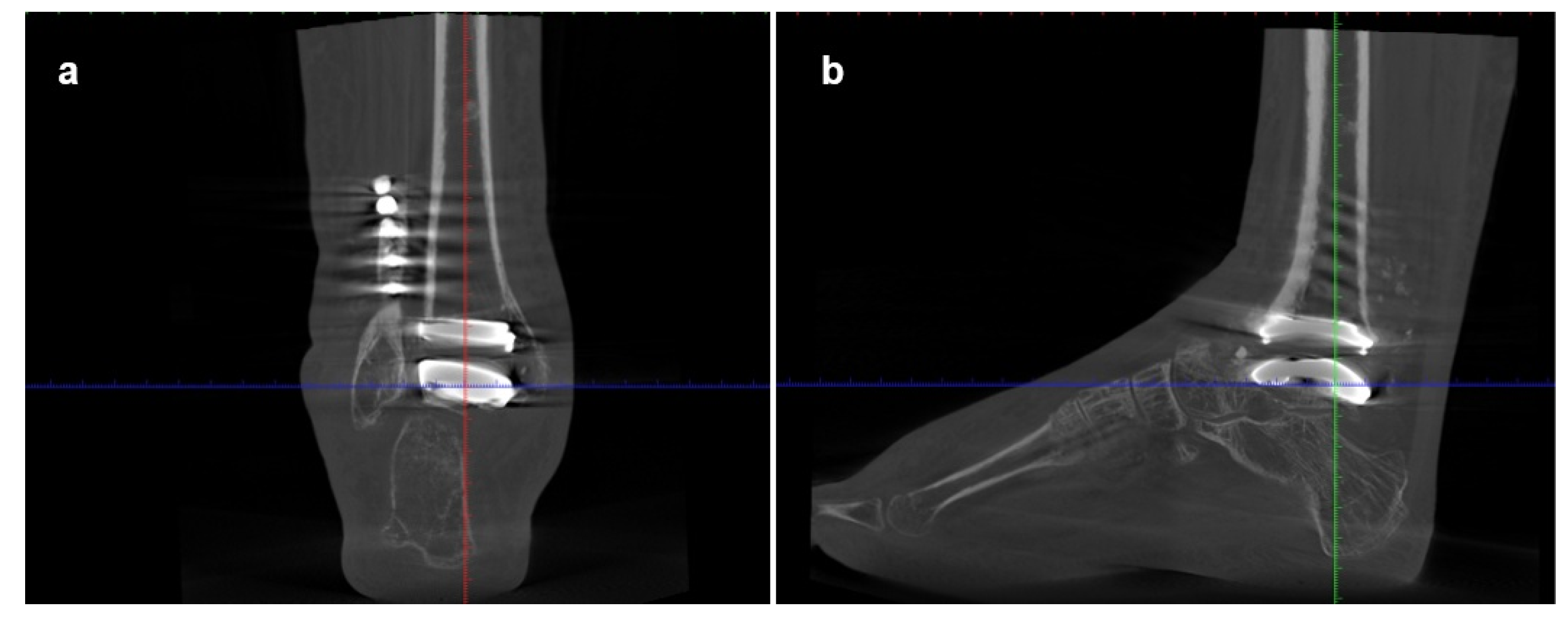 Preprints 198206 g003