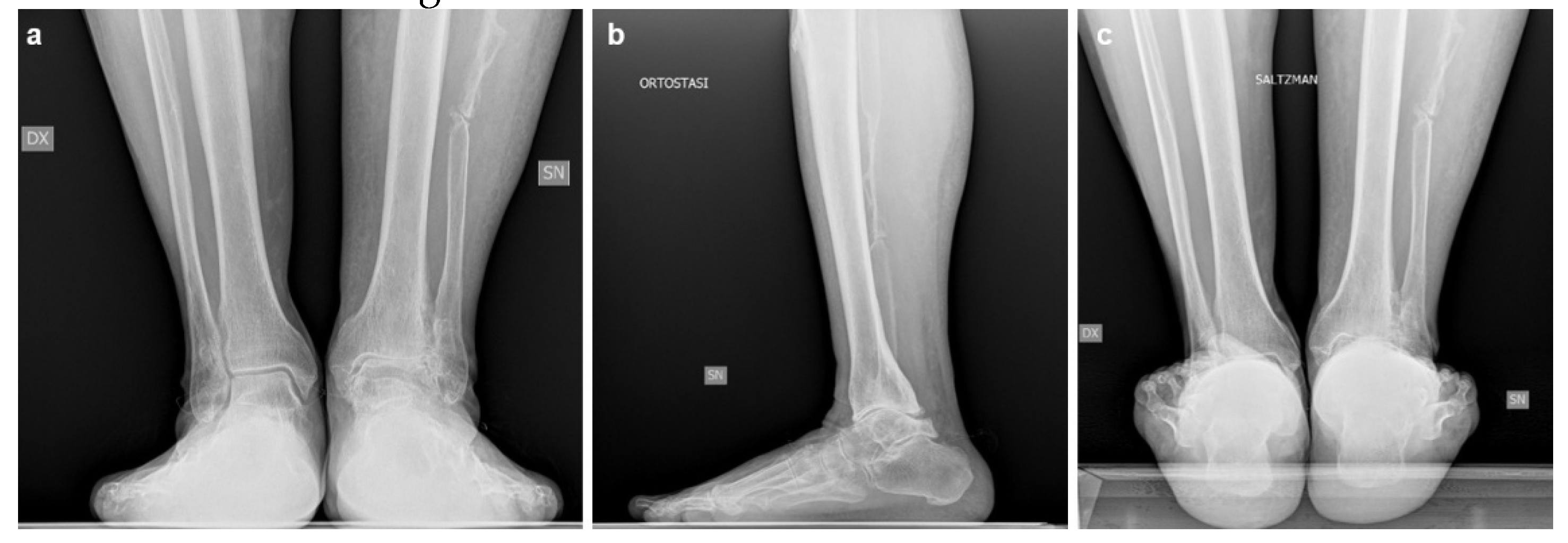 Preprints 198206 g004