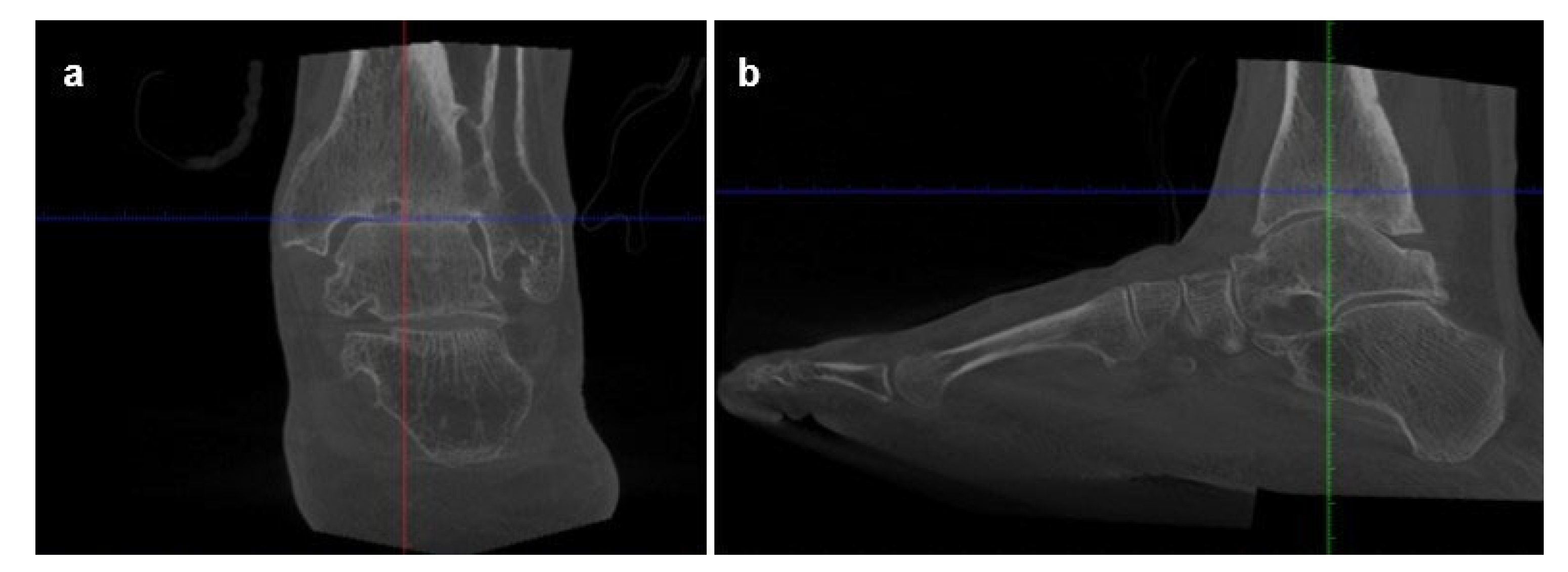Preprints 198206 g005