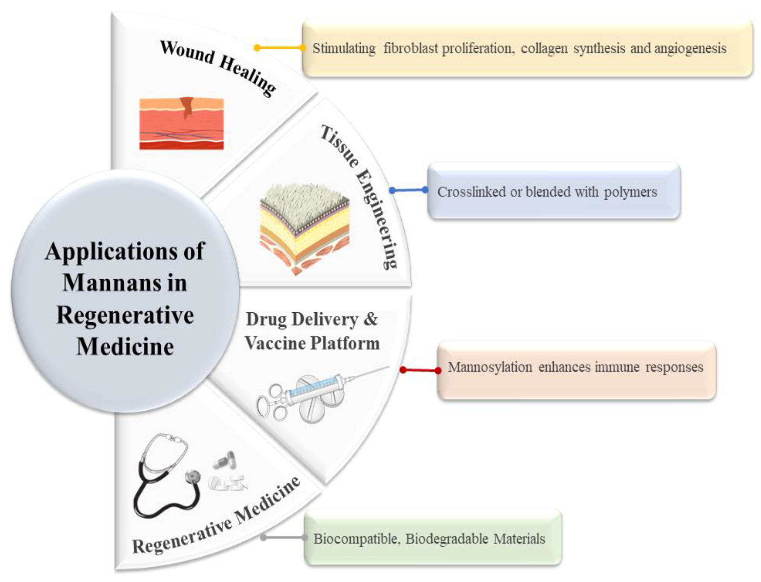 Preprints 182725 g004