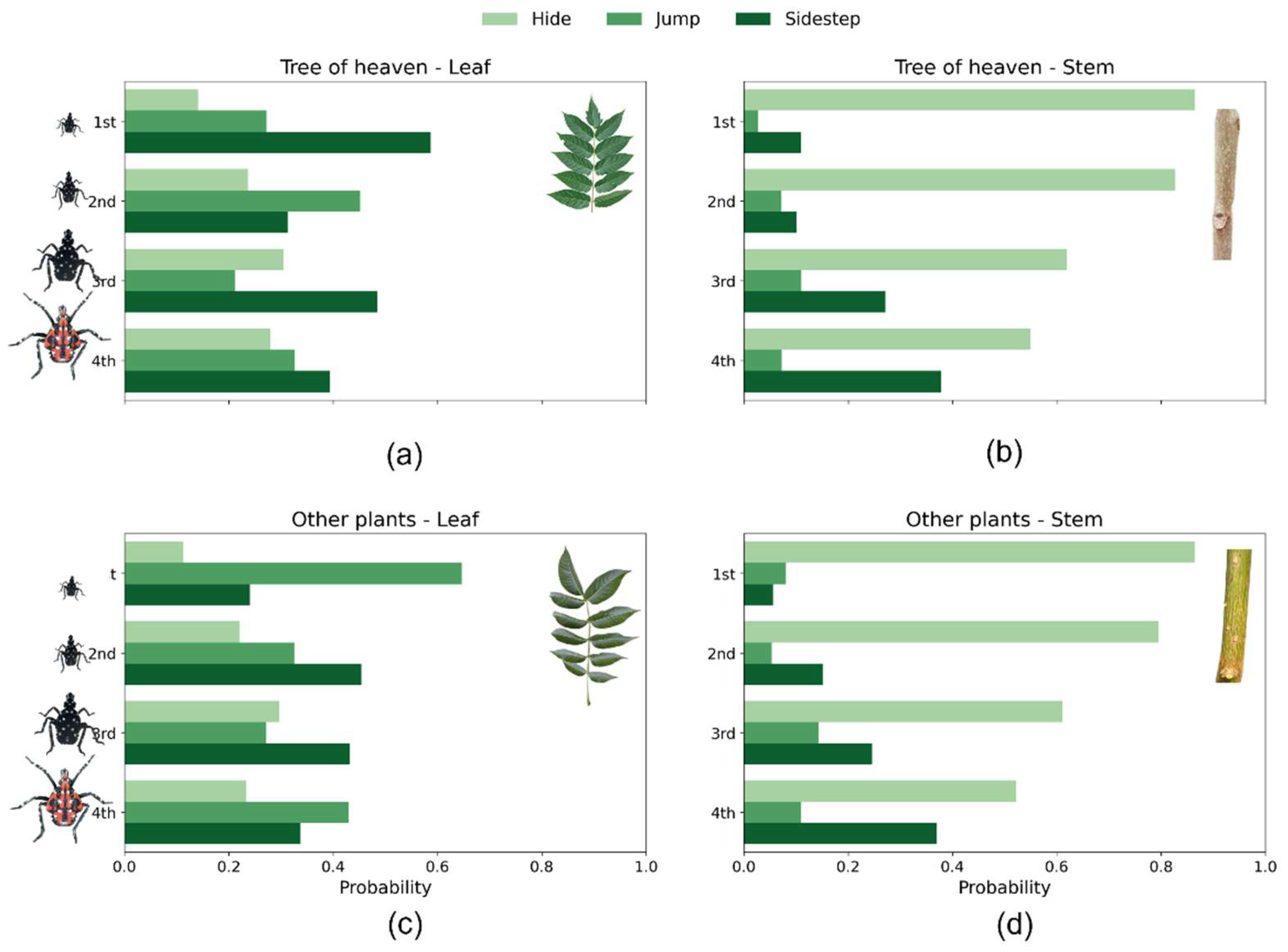 Preprints 168626 g003
