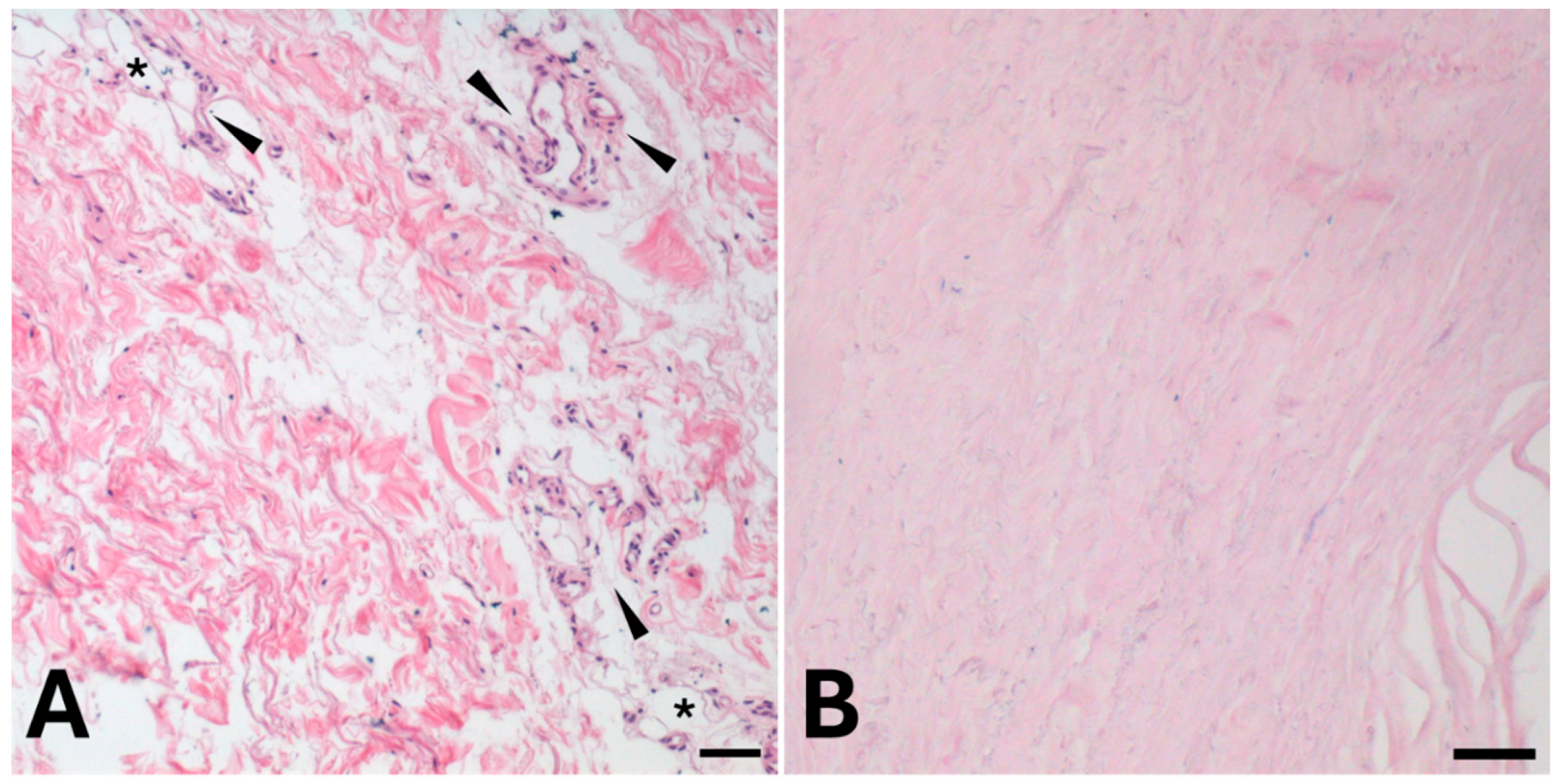 Preprints 190908 g001