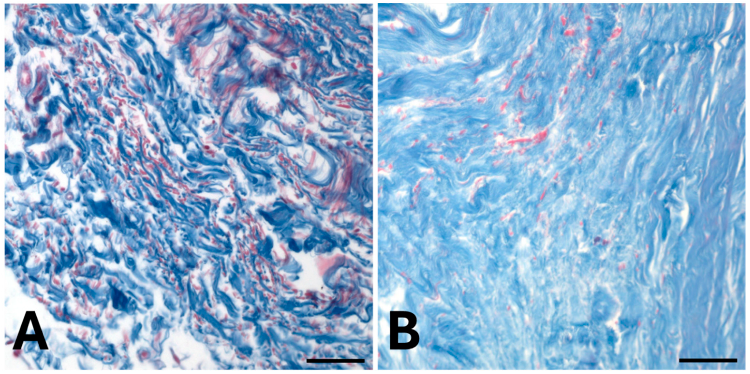 Preprints 190908 g002