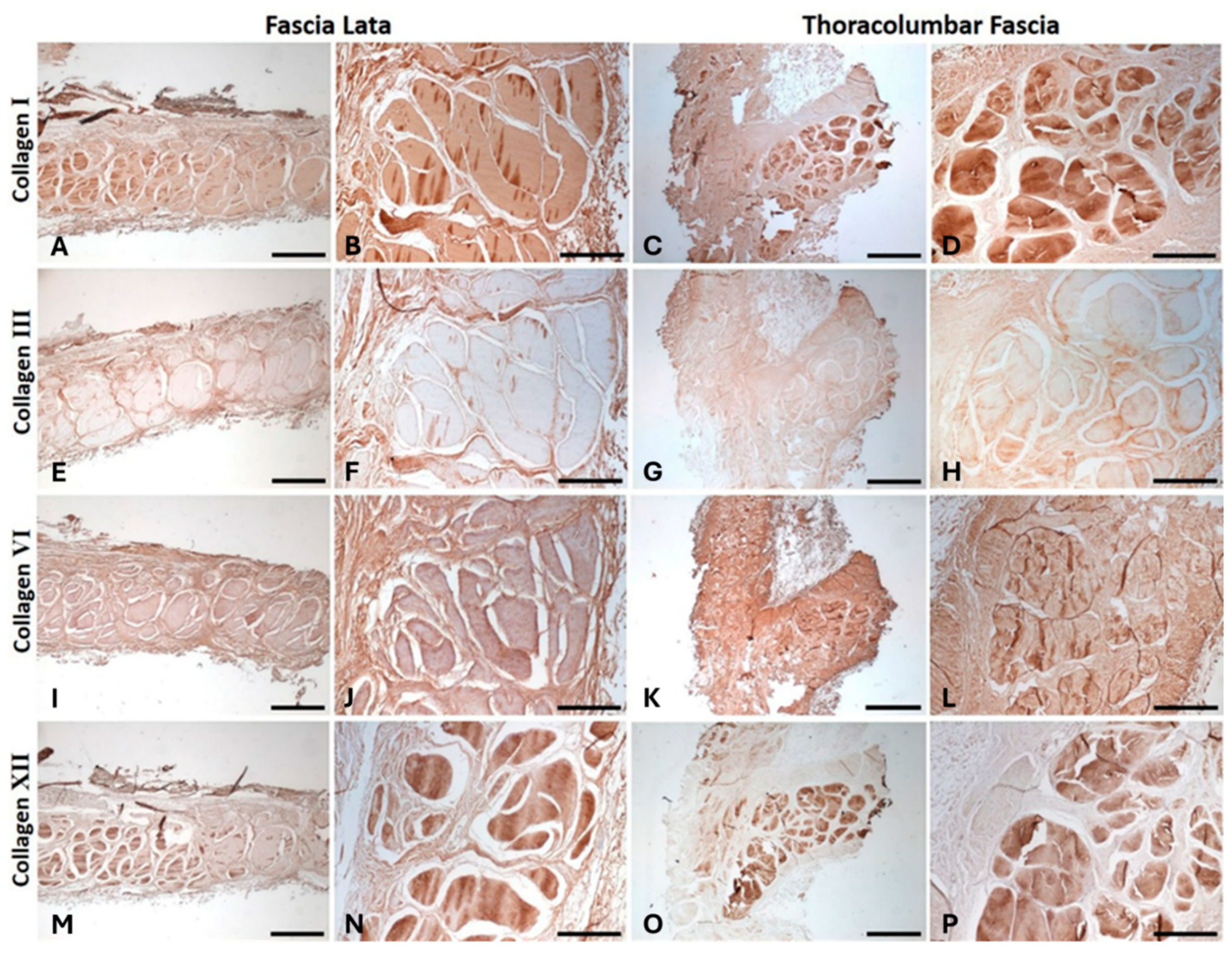 Preprints 190908 g007