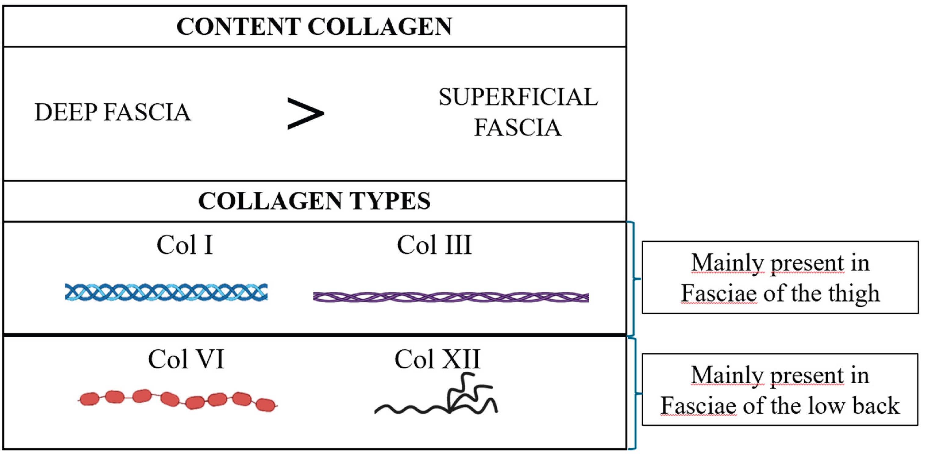 Preprints 190908 g008
