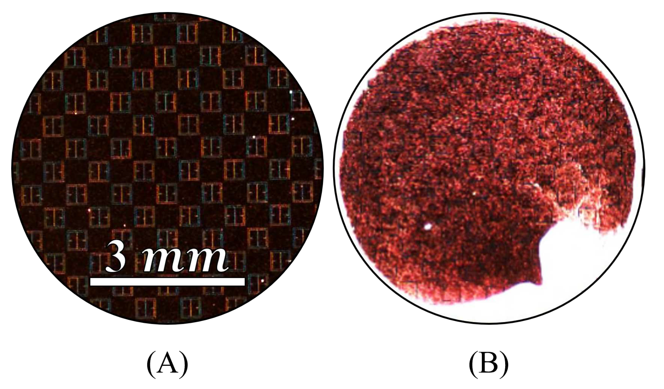 Preprints 77977 g023