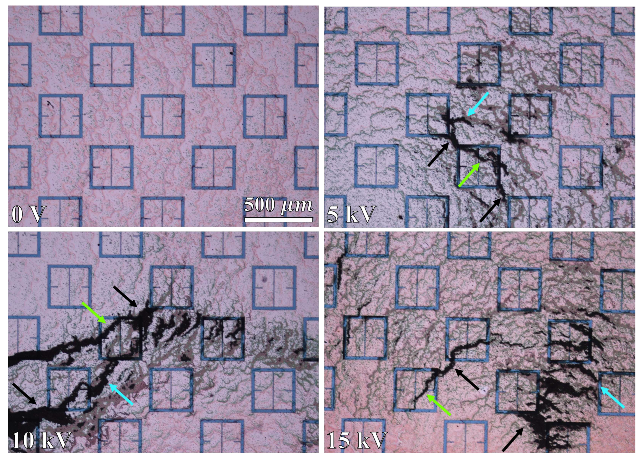 Preprints 77977 g025