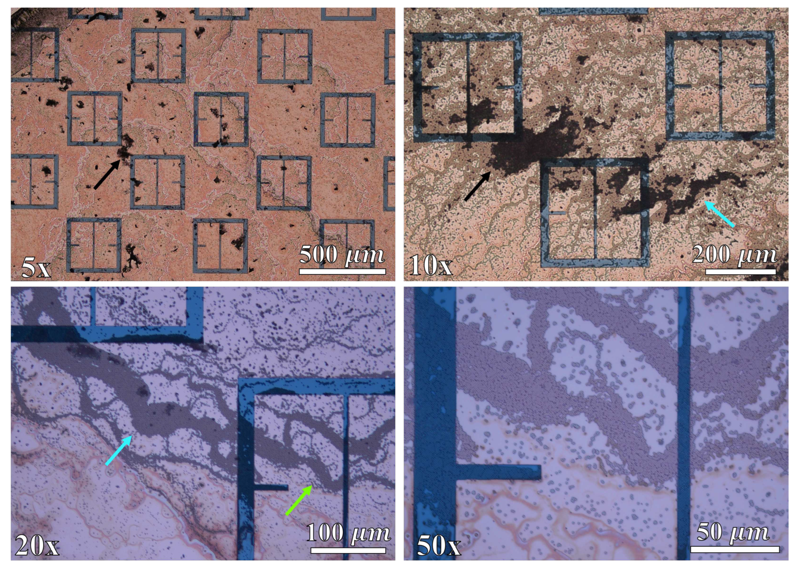 Preprints 77977 g026