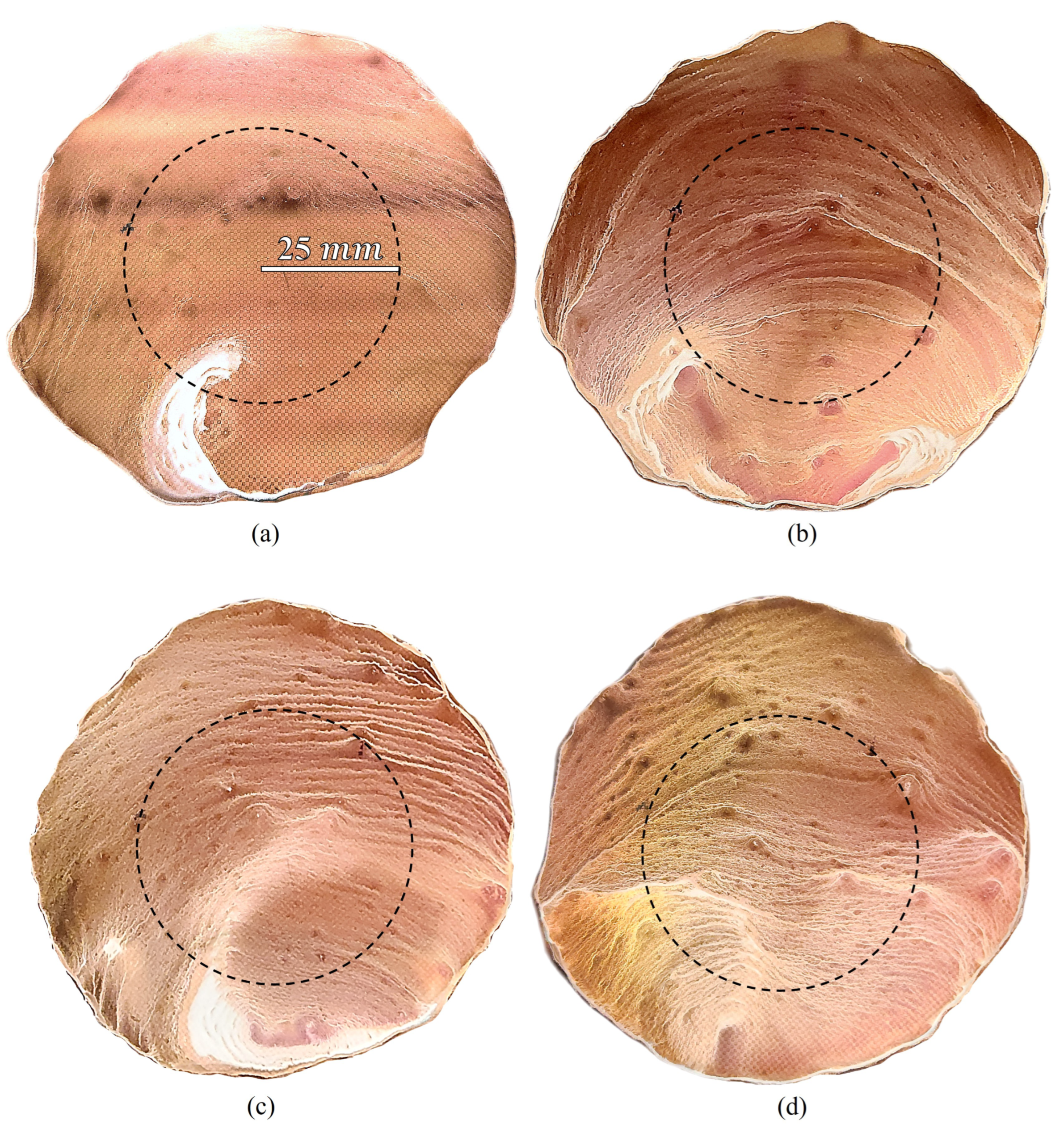 Preprints 77977 g027