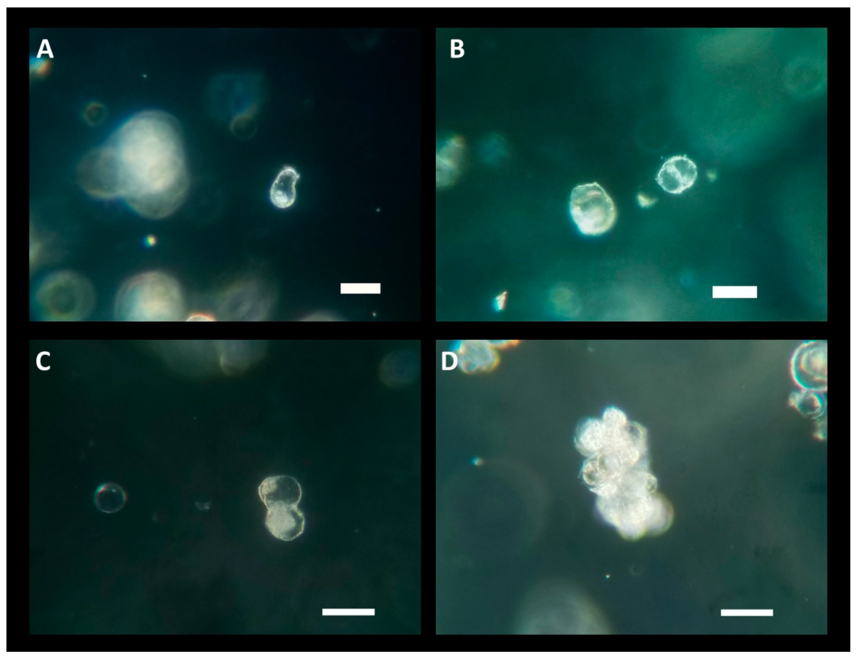 Preprints 86567 g003