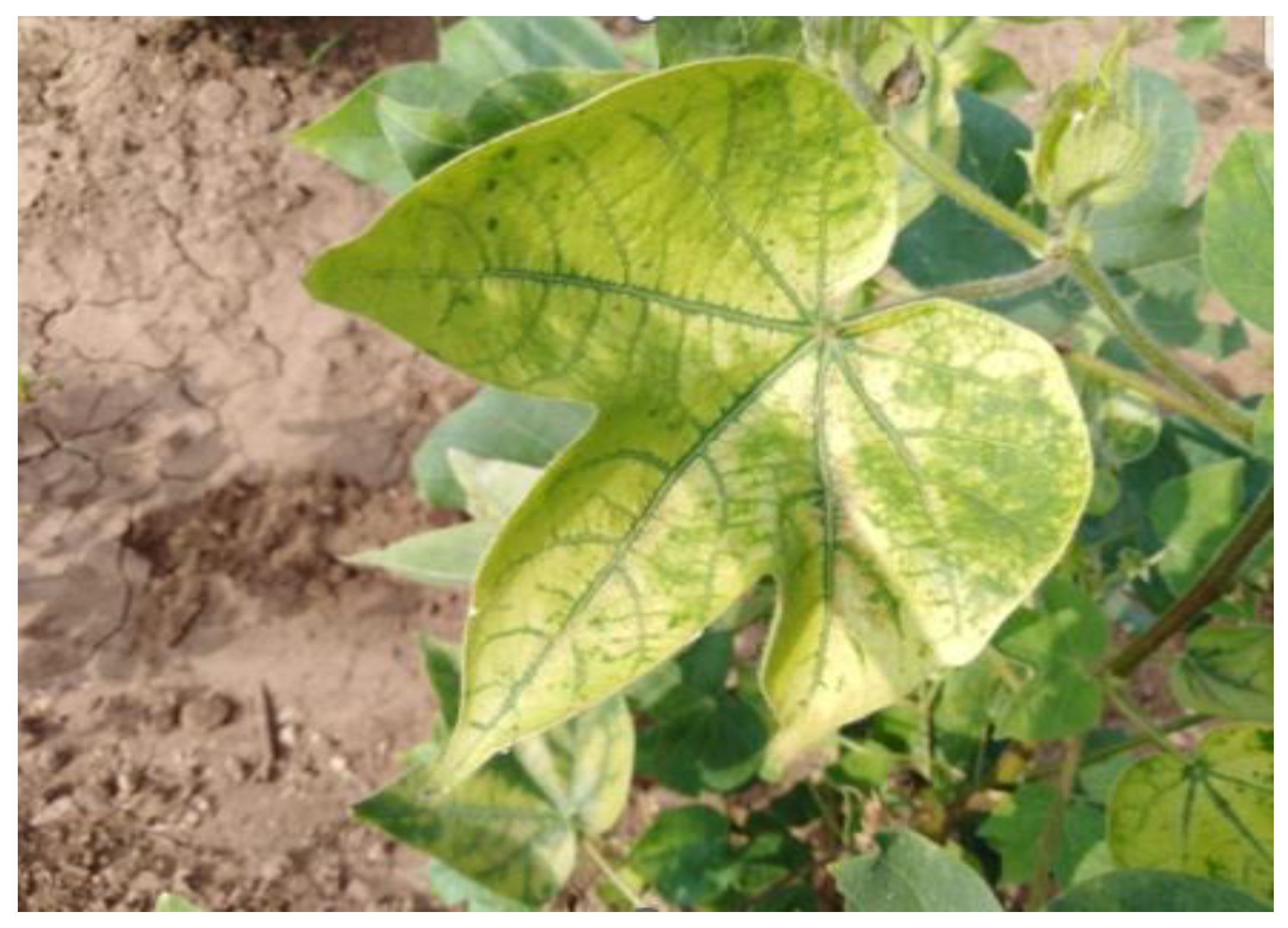 Preprints 175558 g001