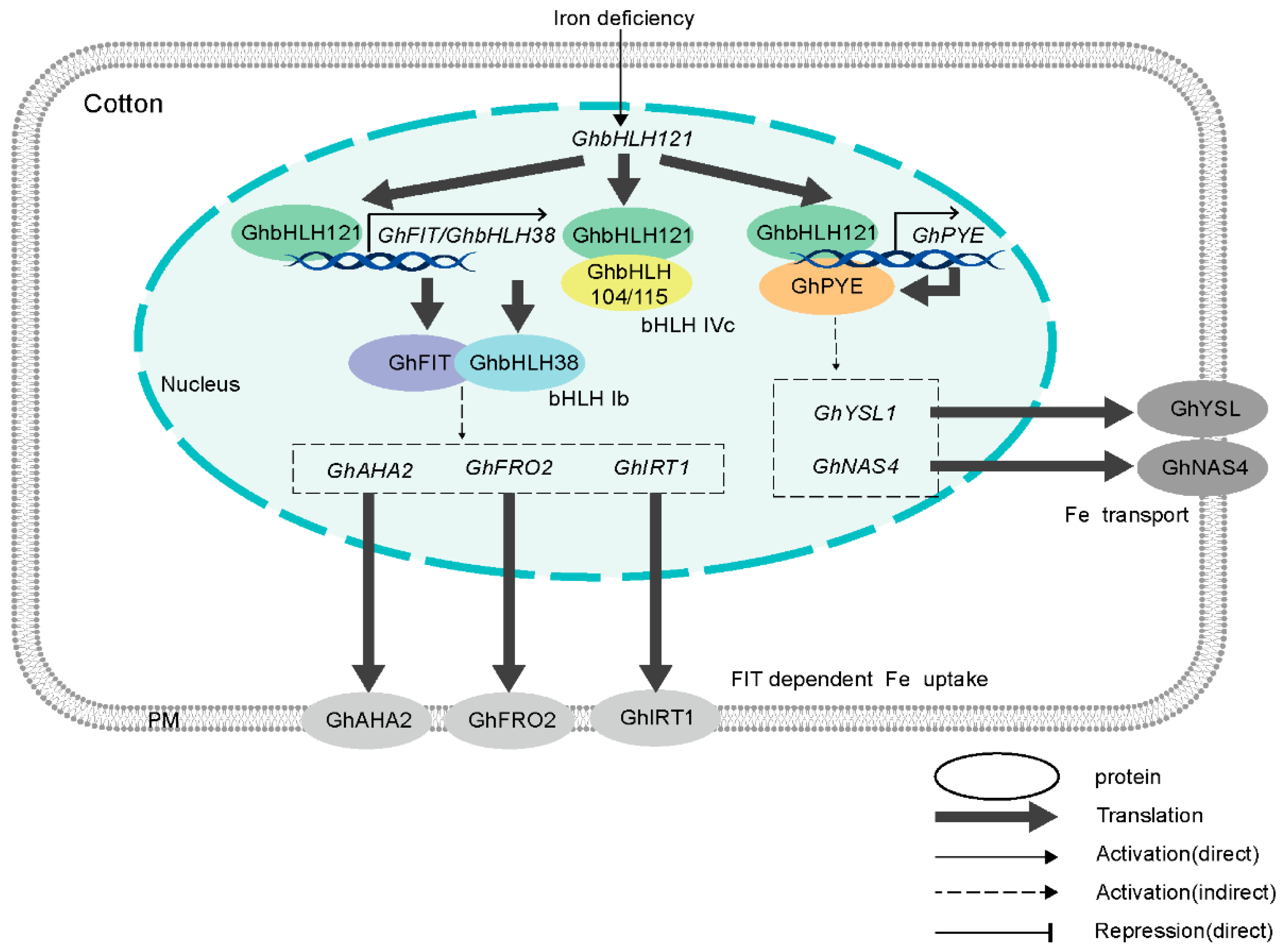 Preprints 175558 g002
