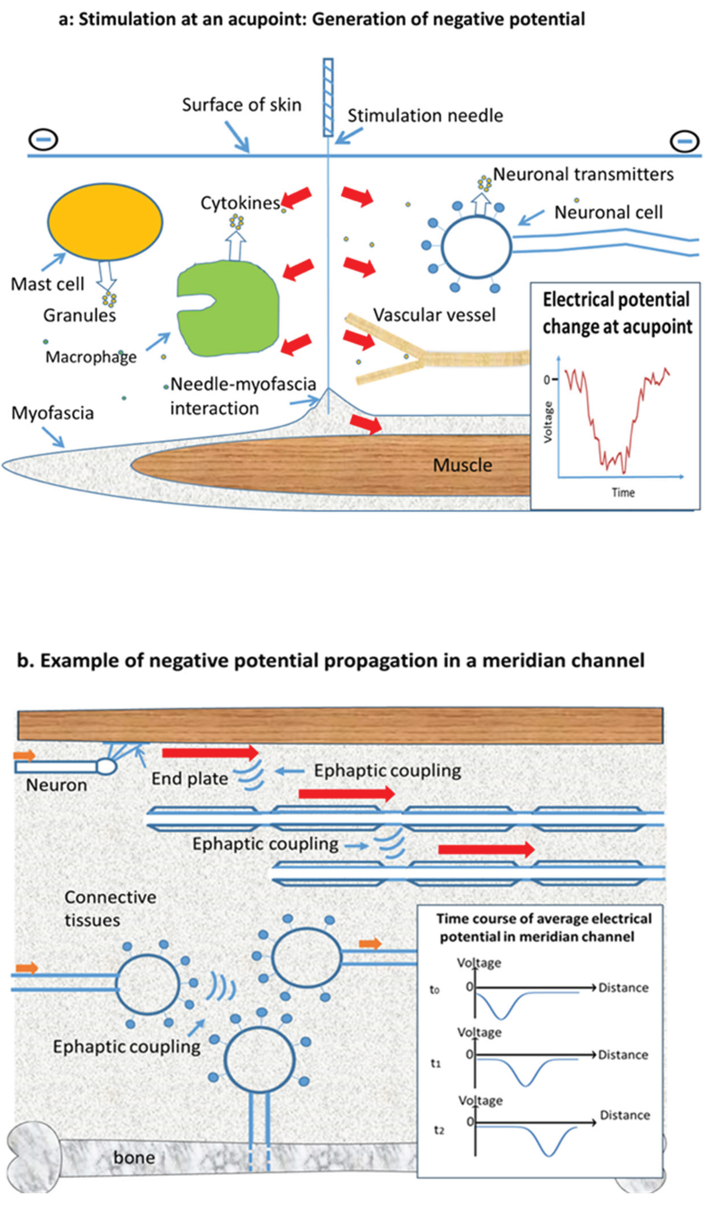 Preprints 164482 g001