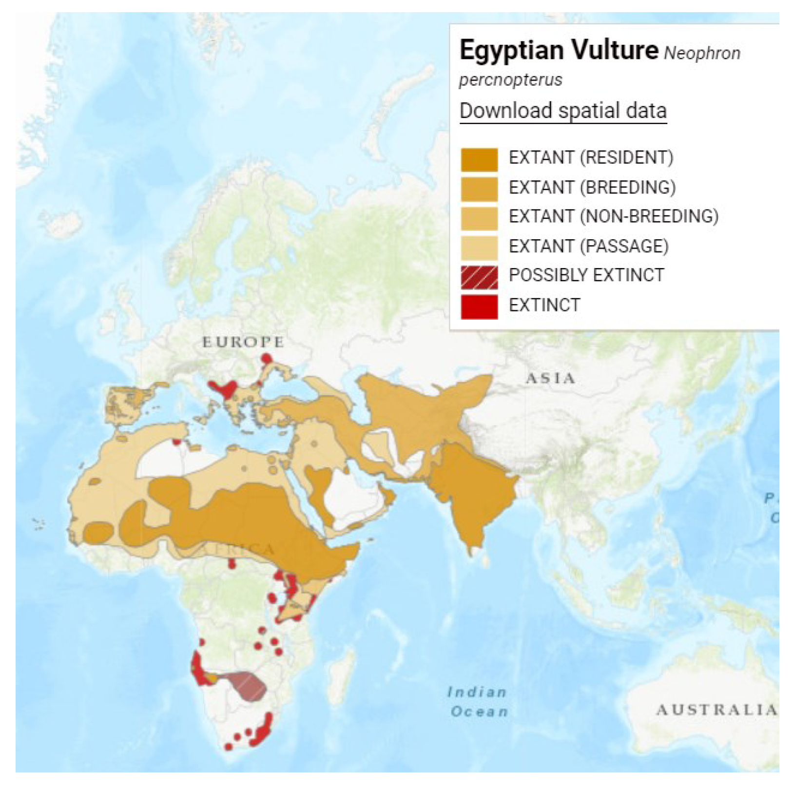 Preprints 90137 g001