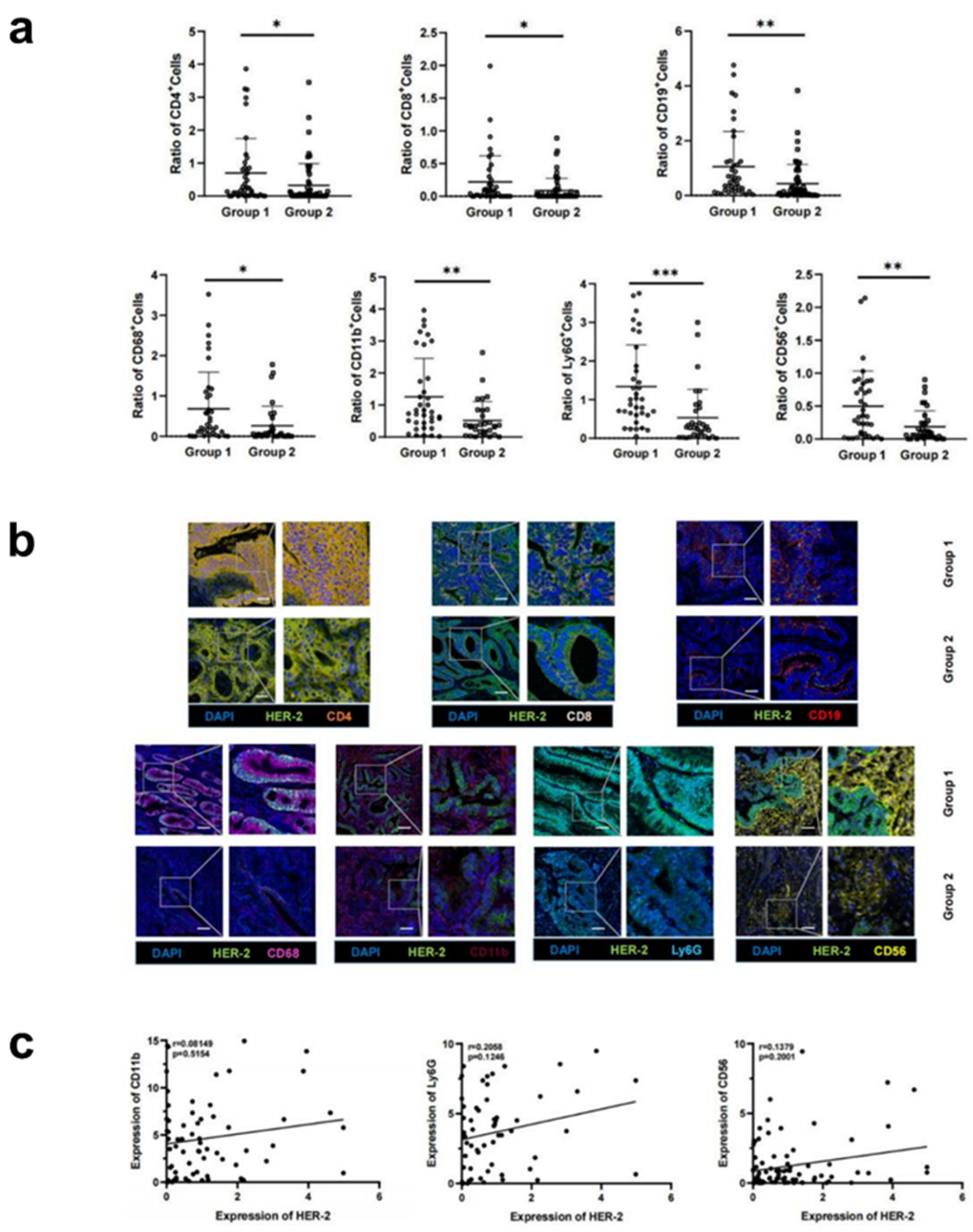 Preprints 87414 g002