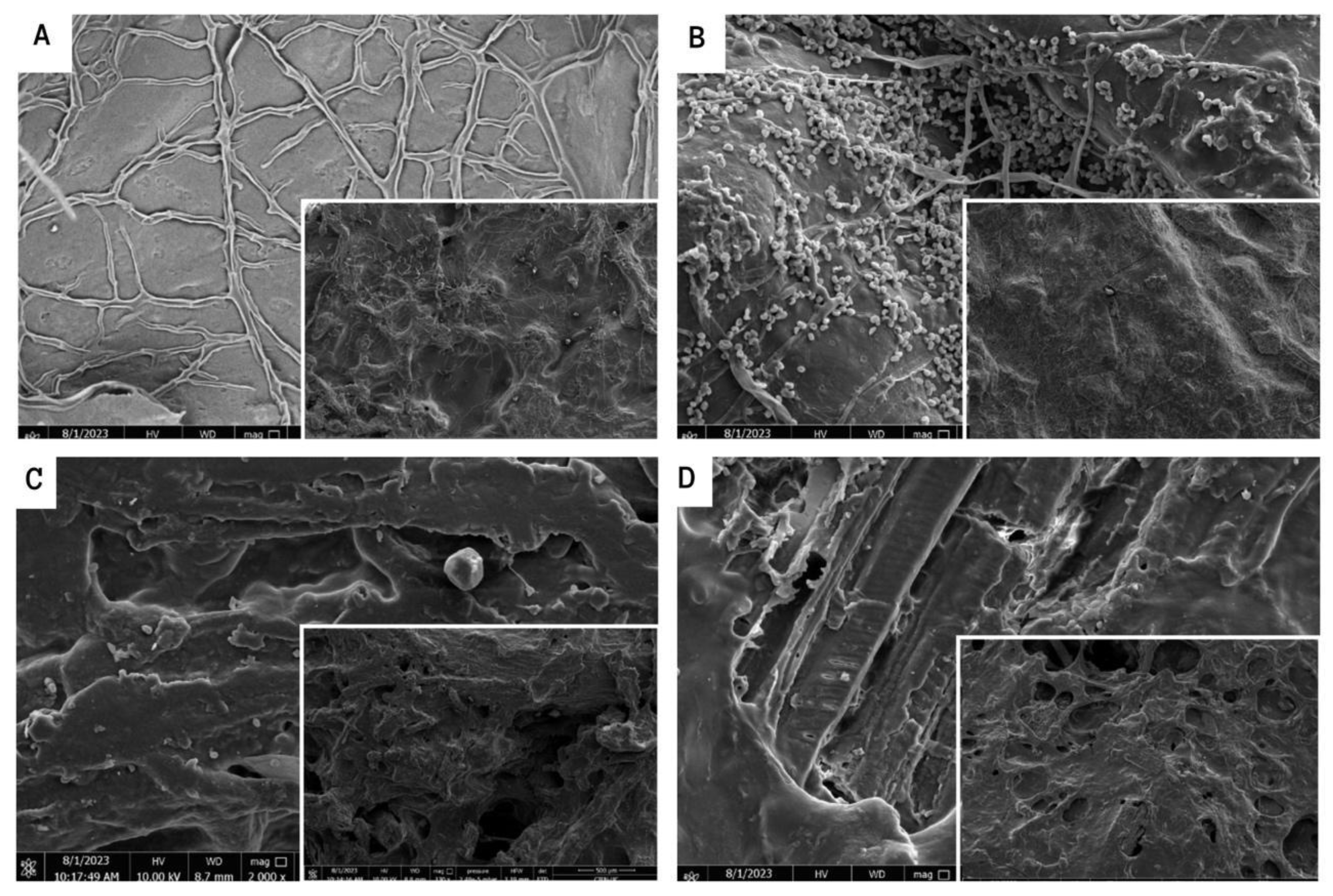 Preprints 156386 g001
