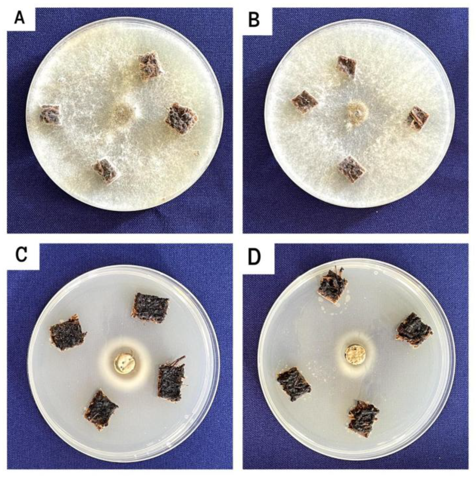 Preprints 156386 g004