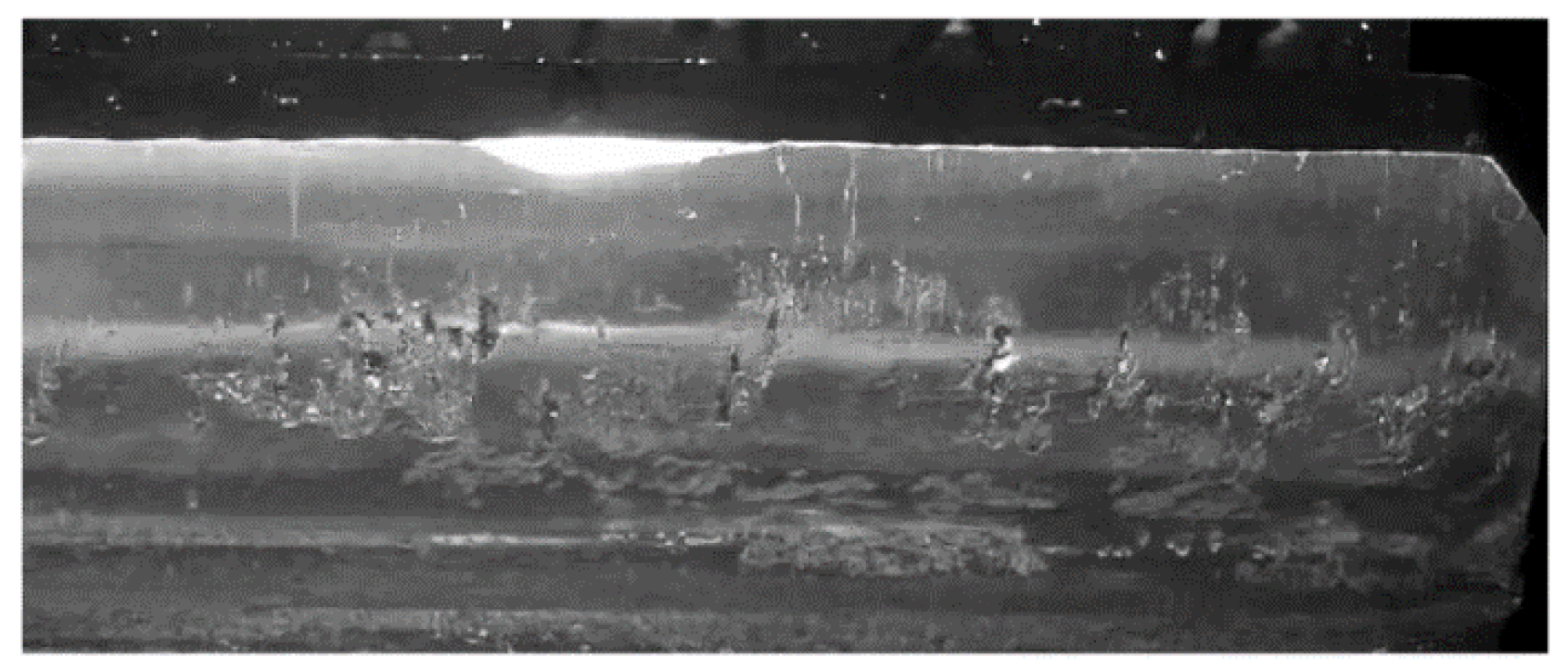 Preprints 193017 g007