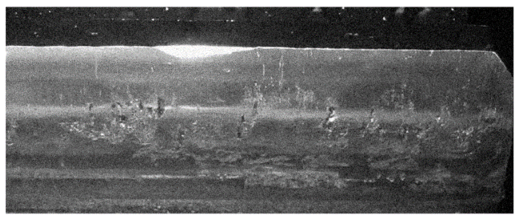 Preprints 193017 g008