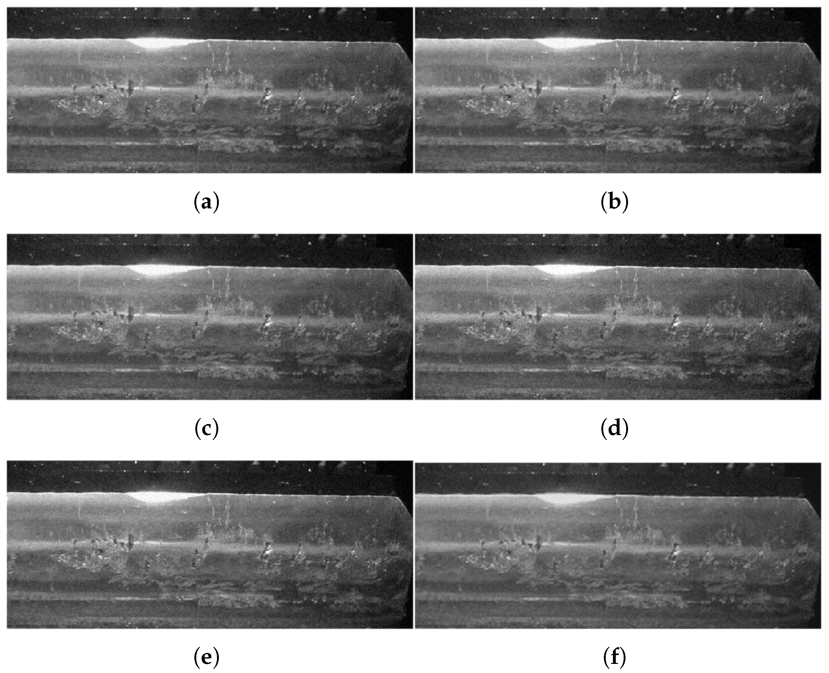 Preprints 193017 g009
