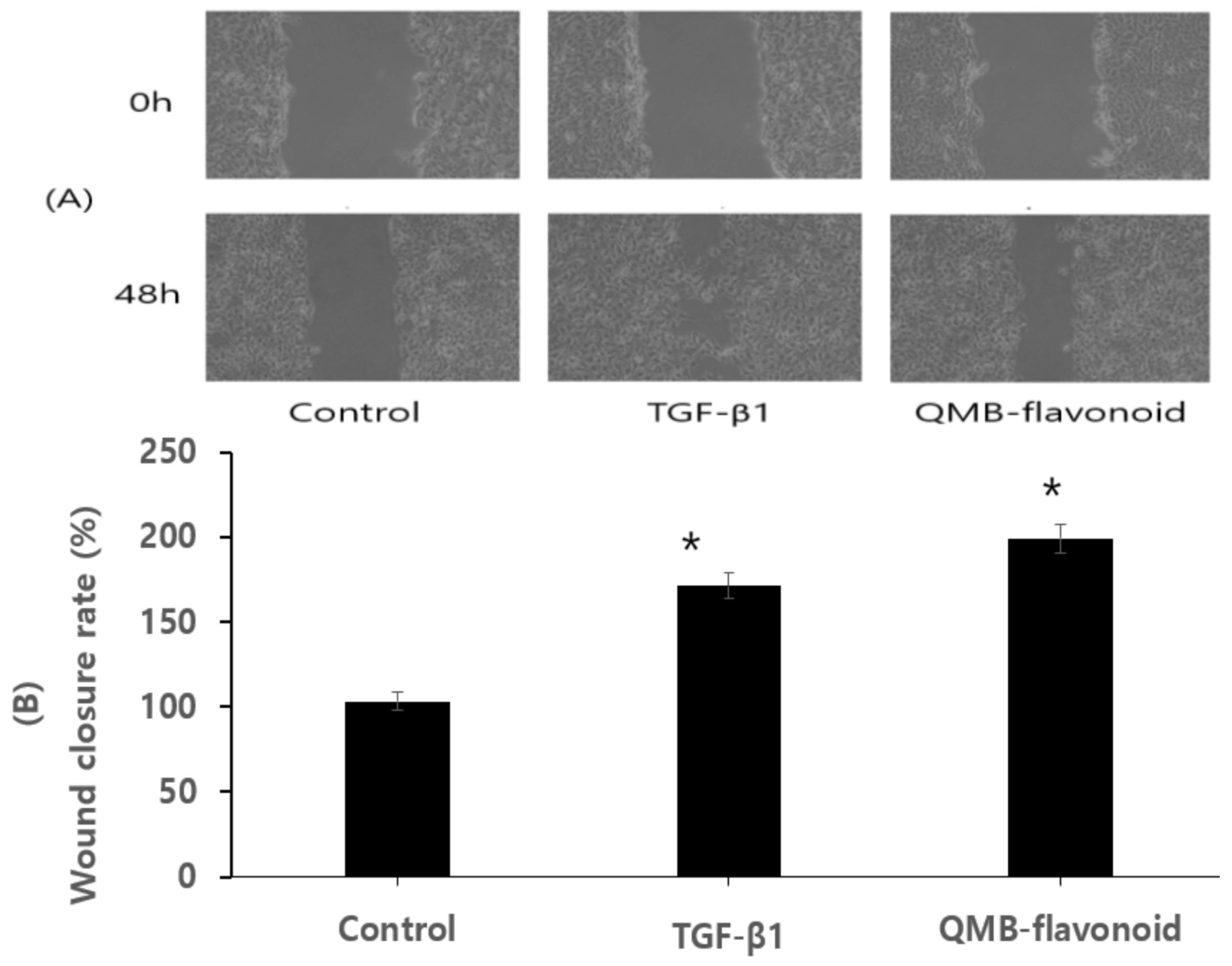 Preprints 156308 g007