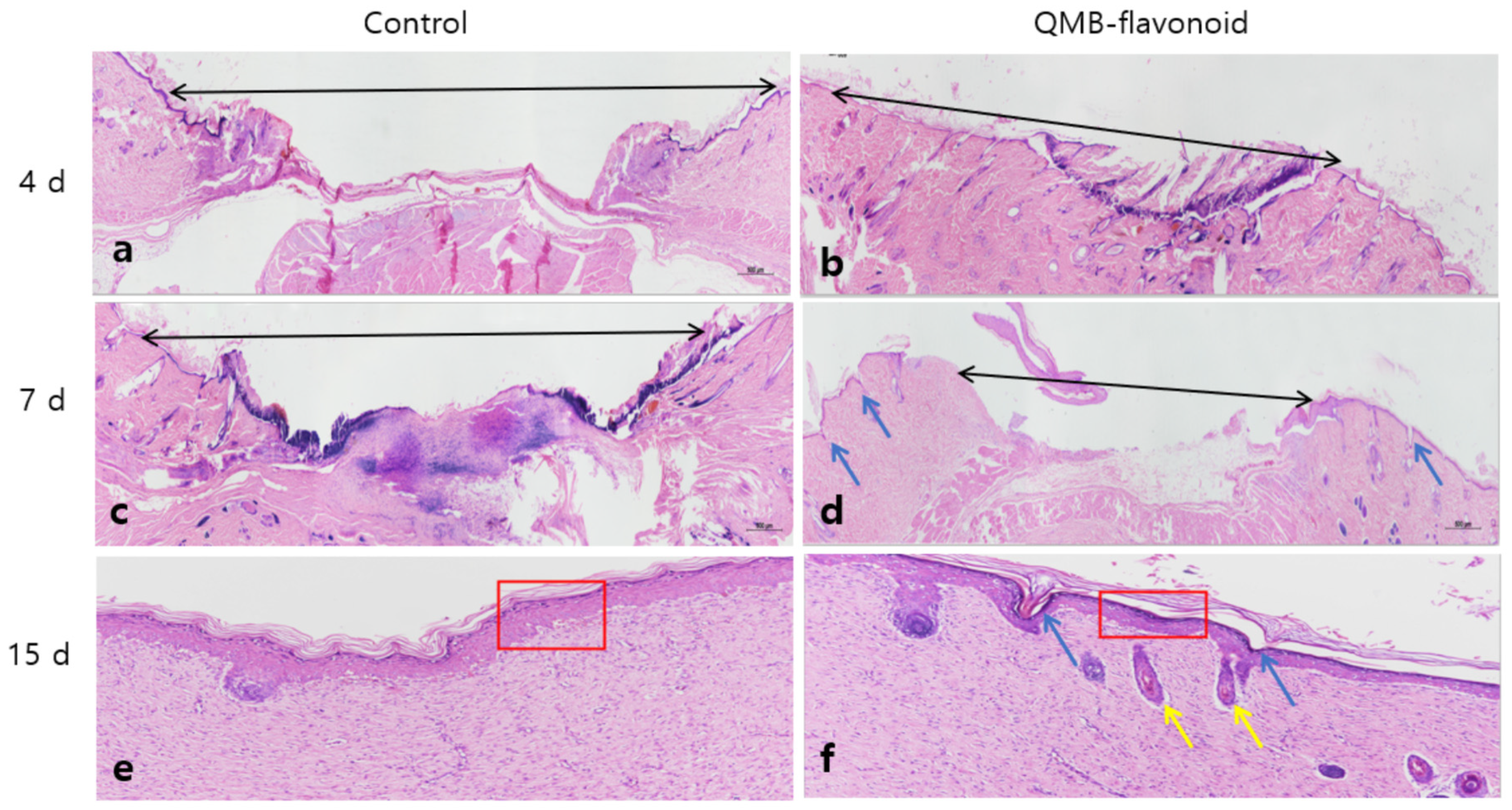 Preprints 156308 g009