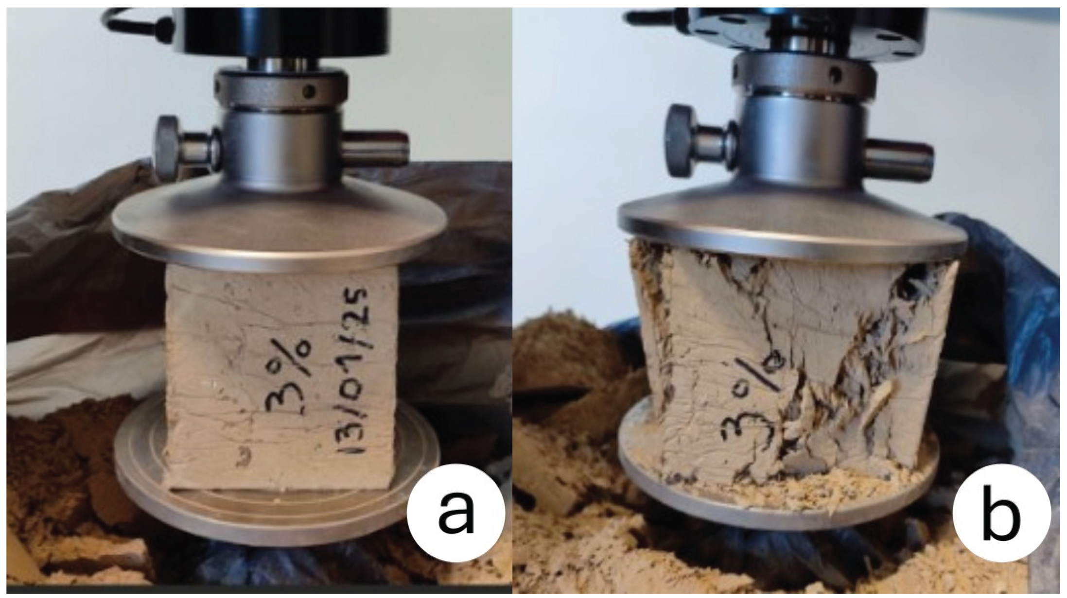 Preprints 165011 g004