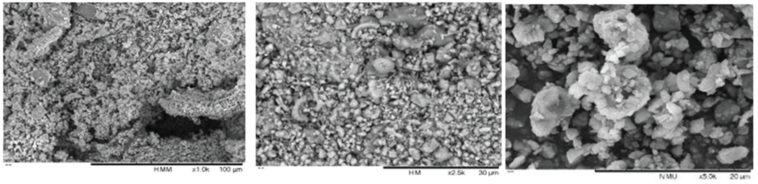 Preprints 165011 g007