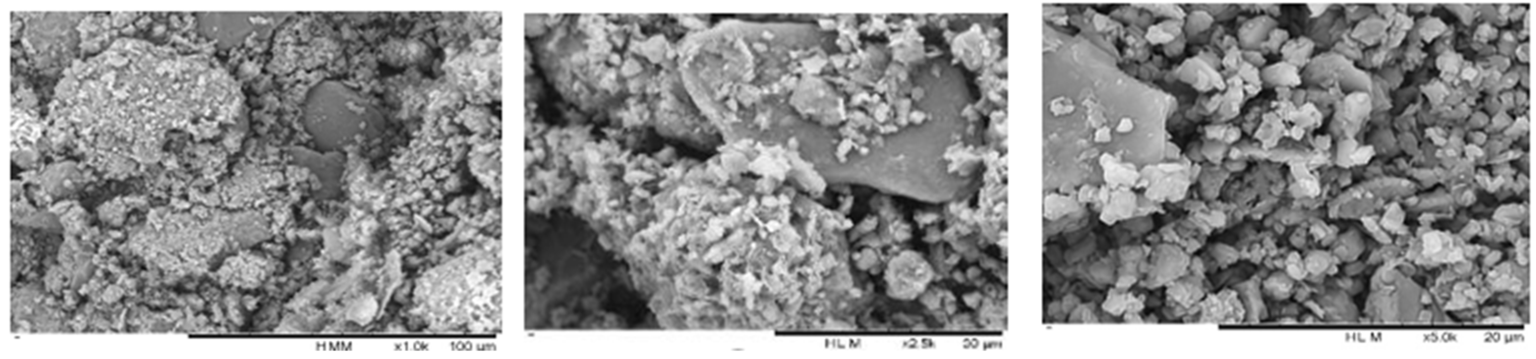 Preprints 165011 g008