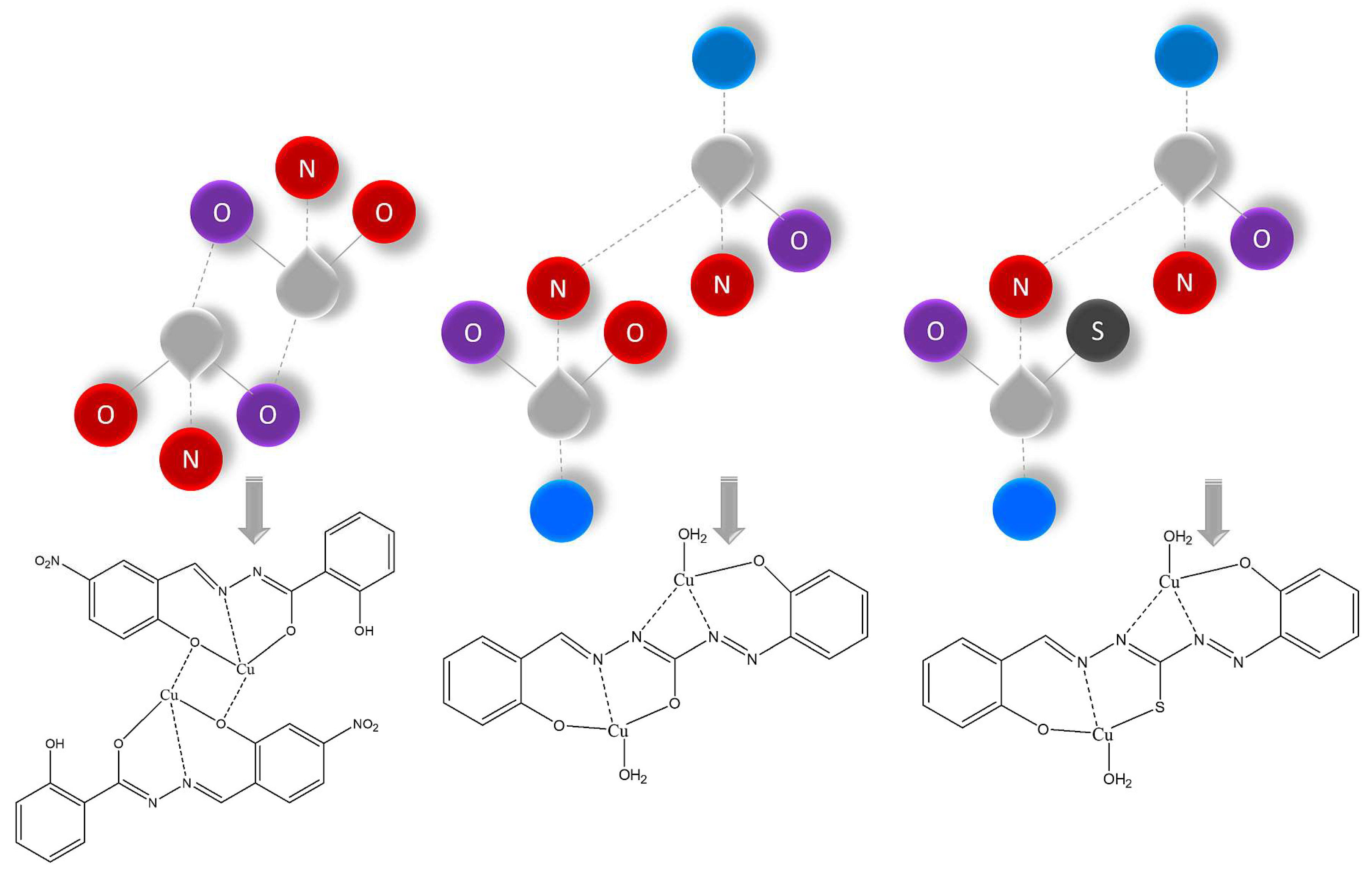 Preprints 142237 sch002