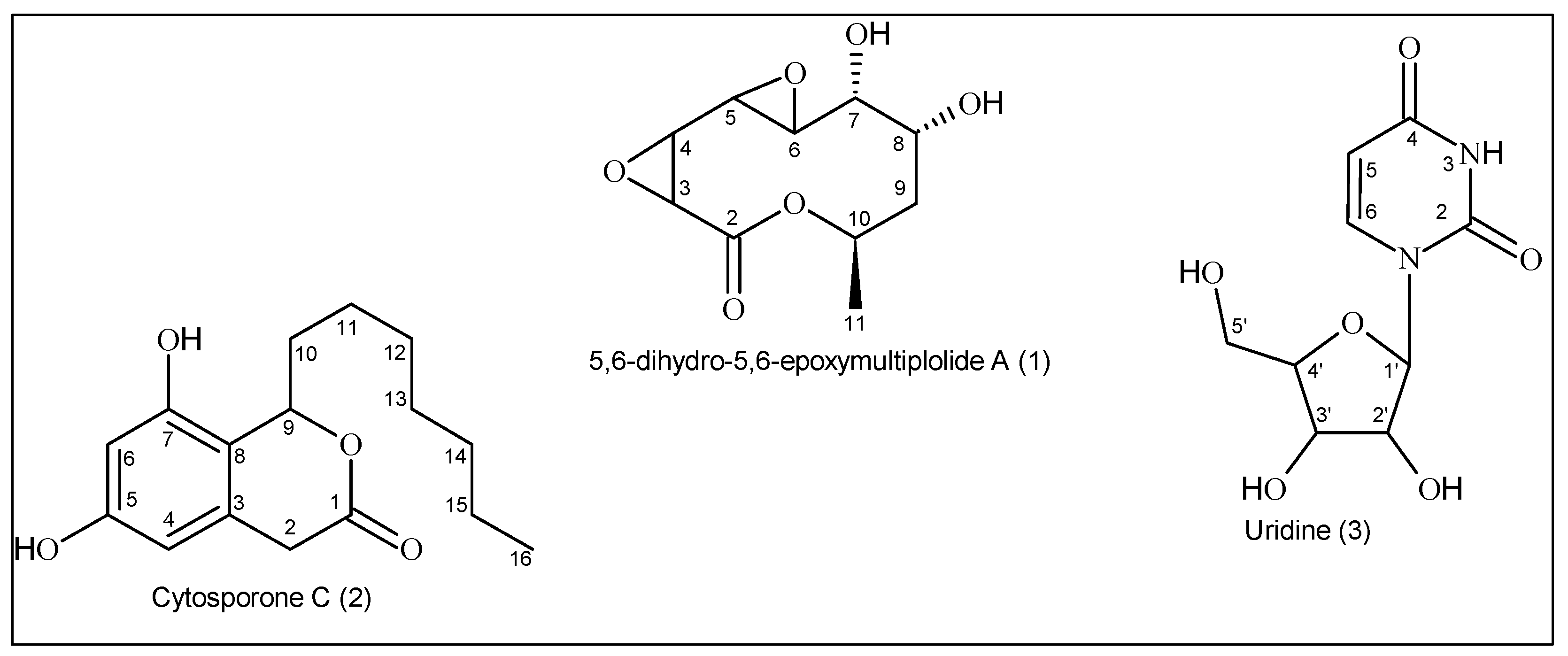 Preprints 149330 g001