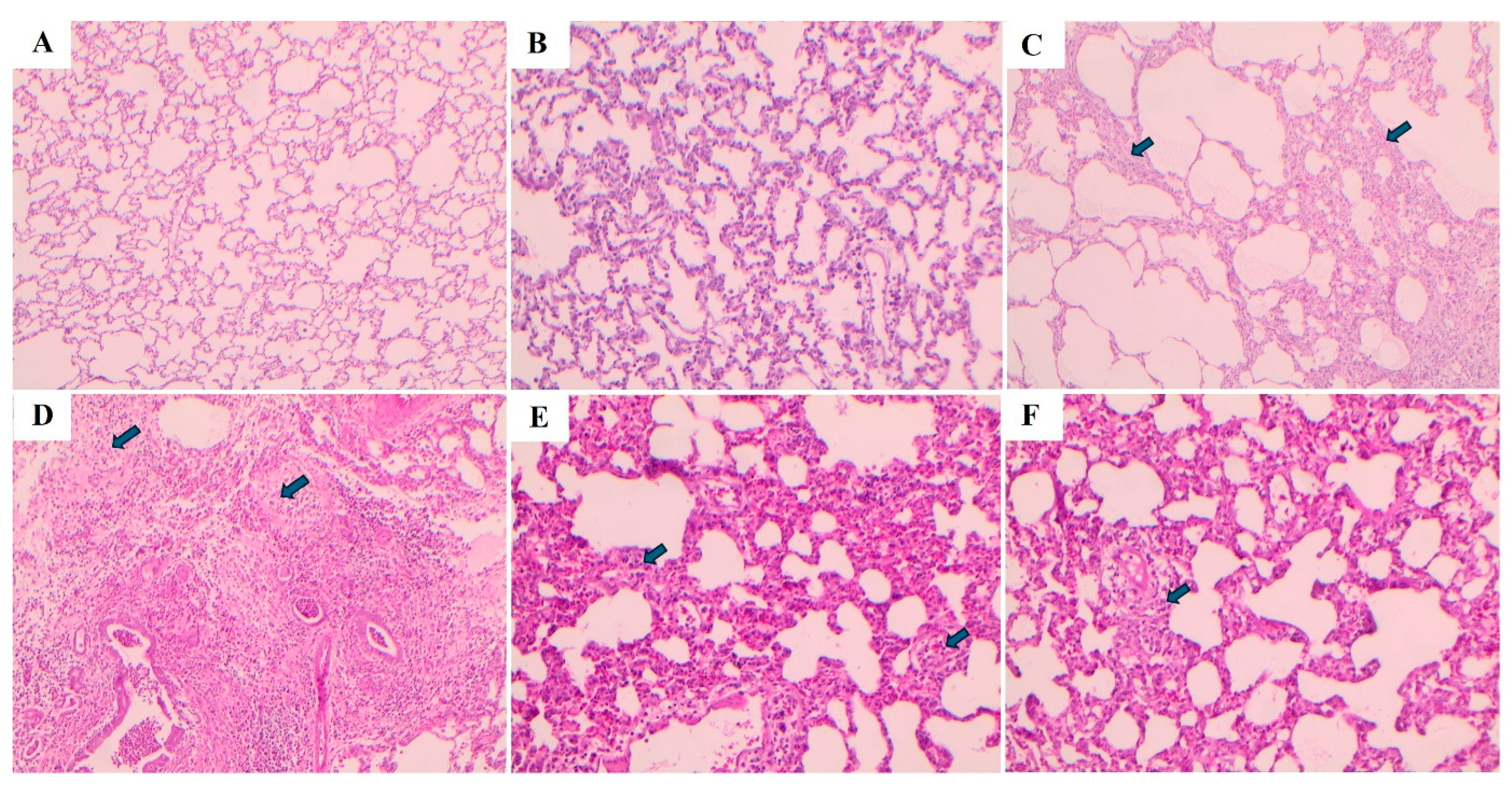 Preprints 193170 g008