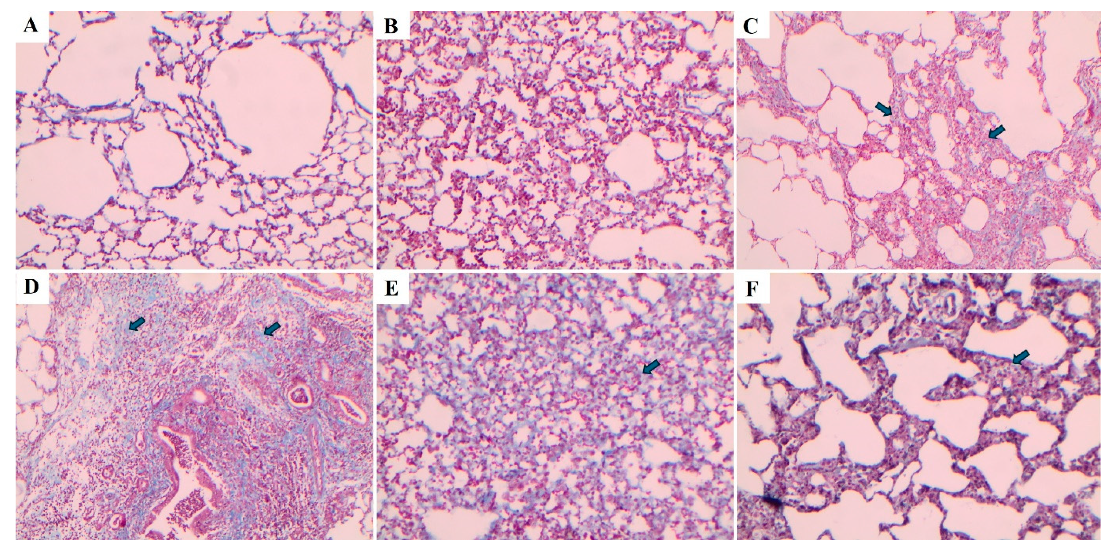 Preprints 193170 g009