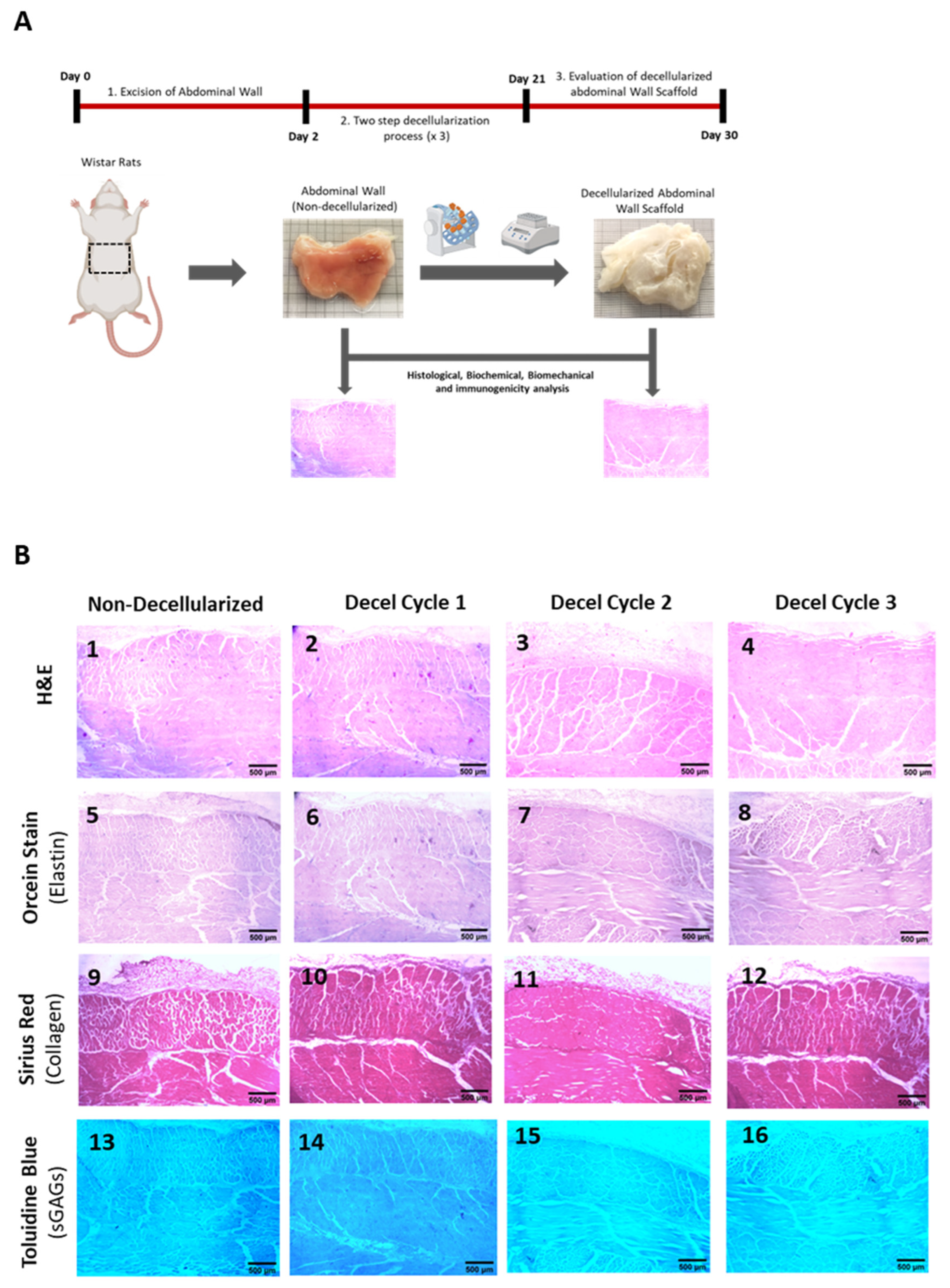 Preprints 78791 g001