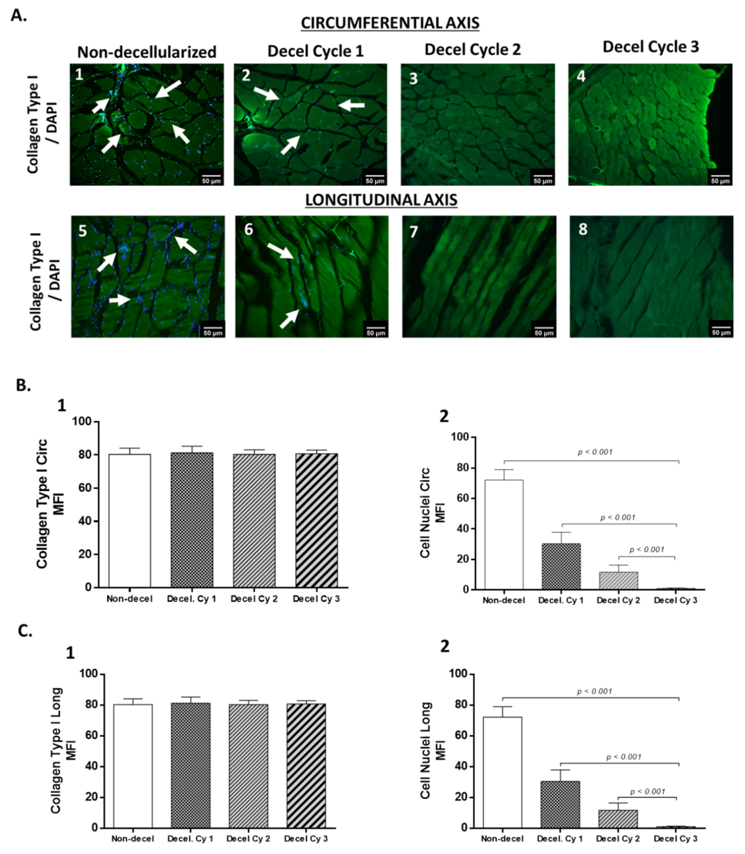 Preprints 78791 g003