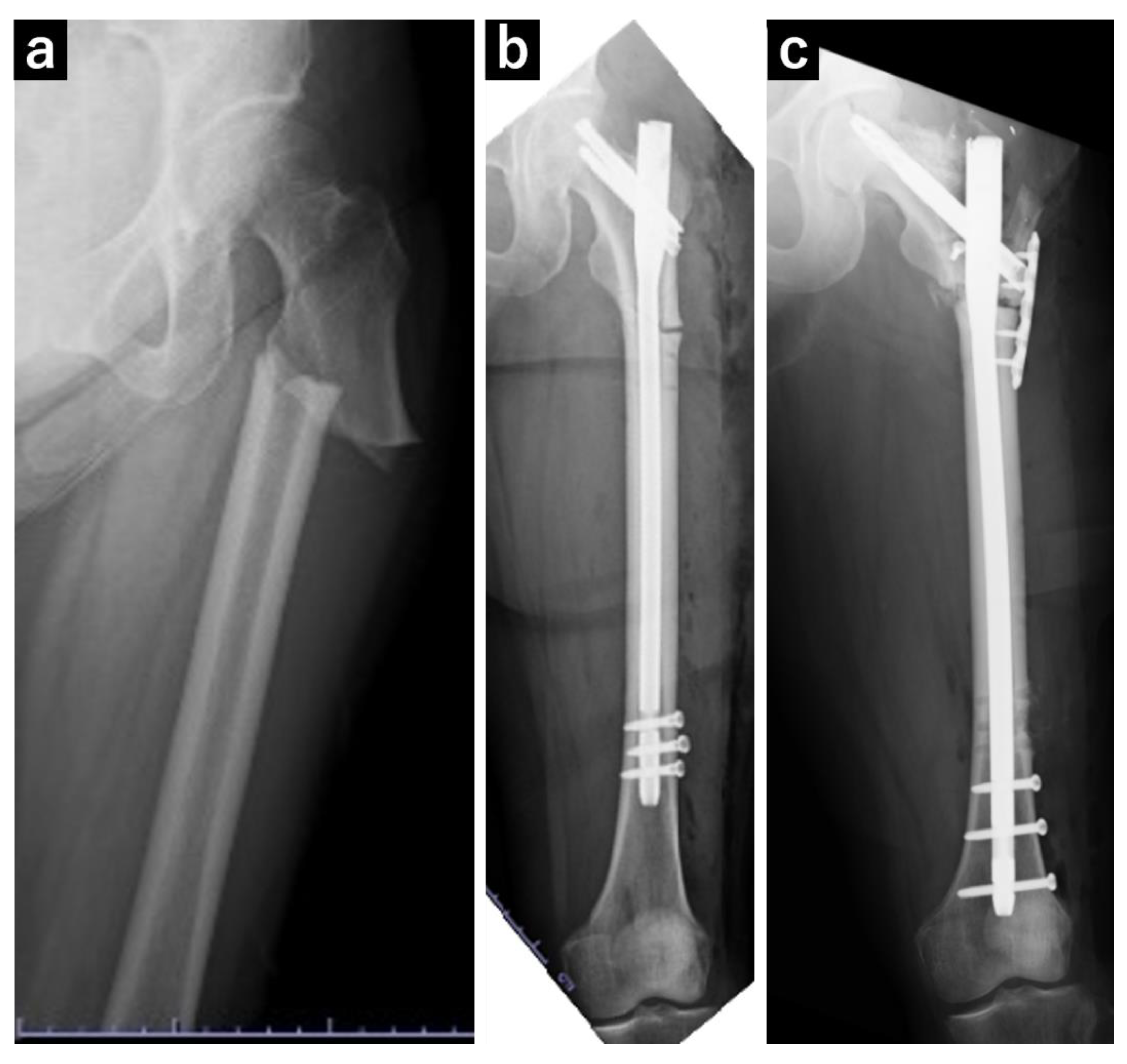 Preprints 117664 g001