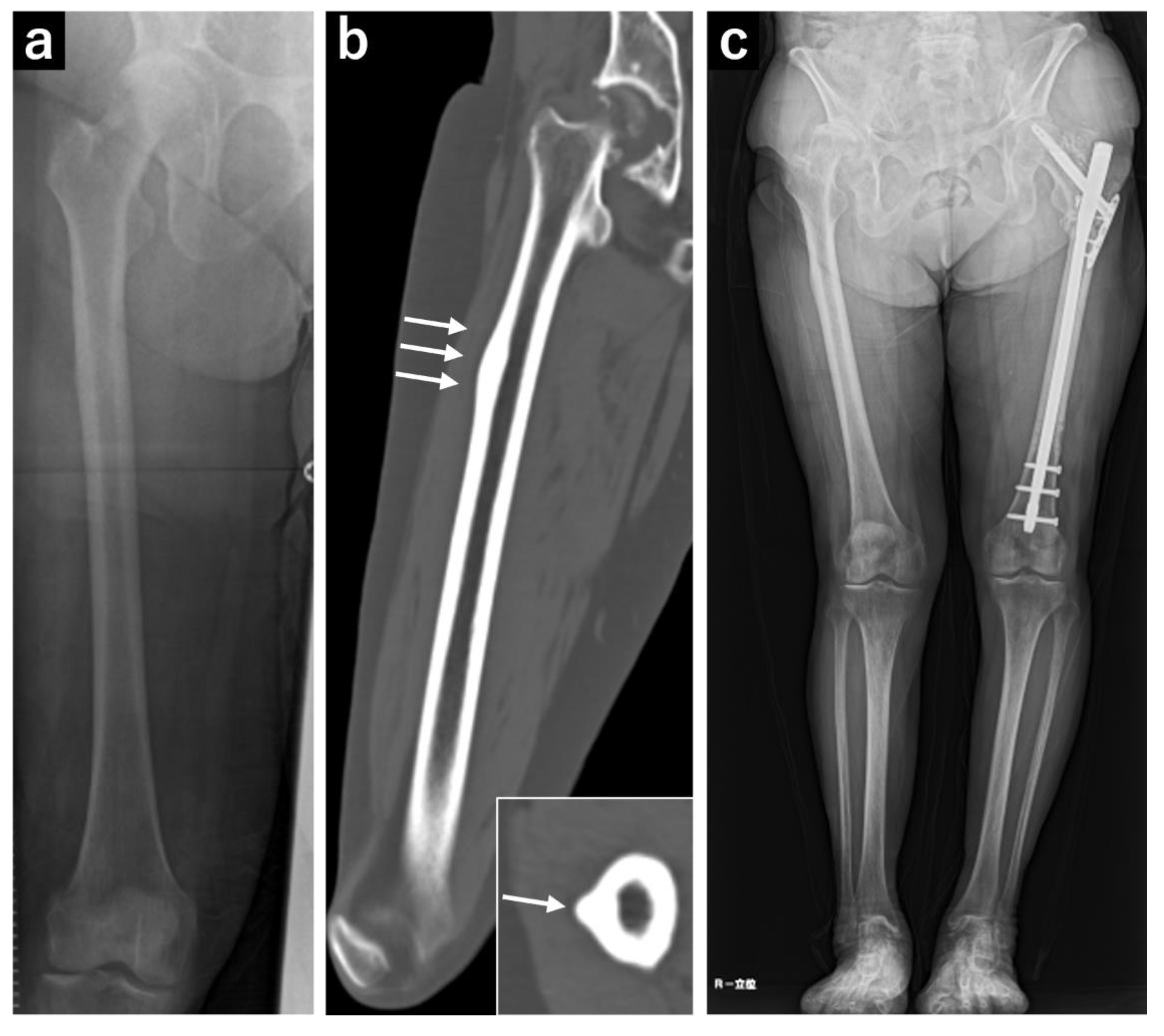 Preprints 117664 g002