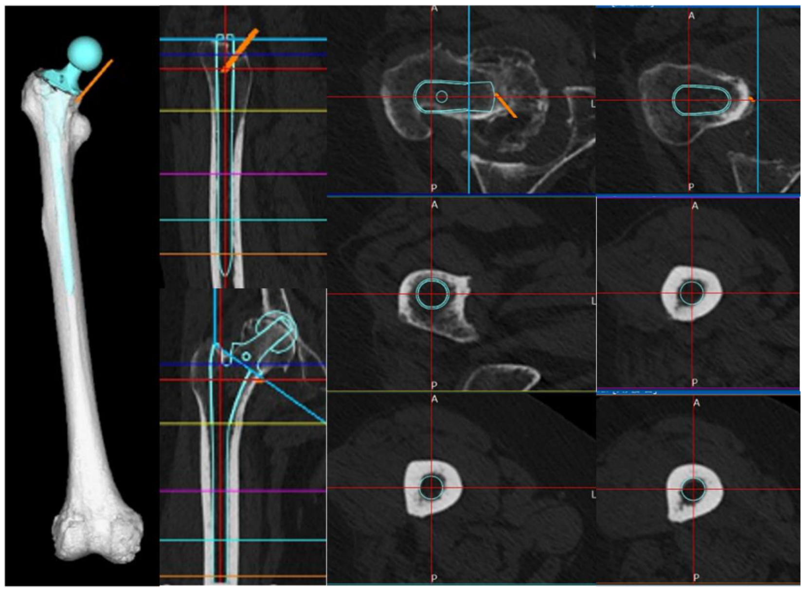 Preprints 117664 g004