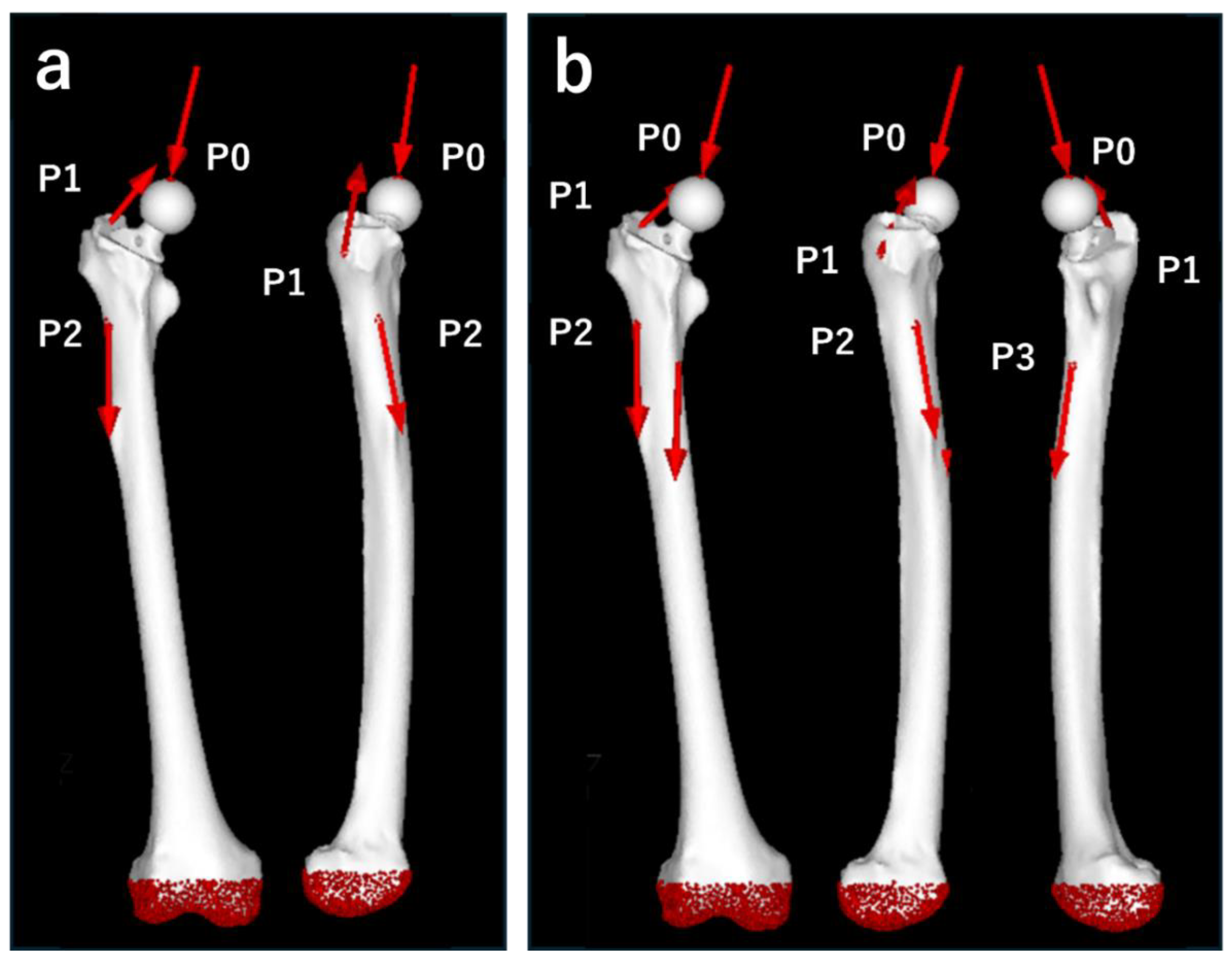 Preprints 117664 g005