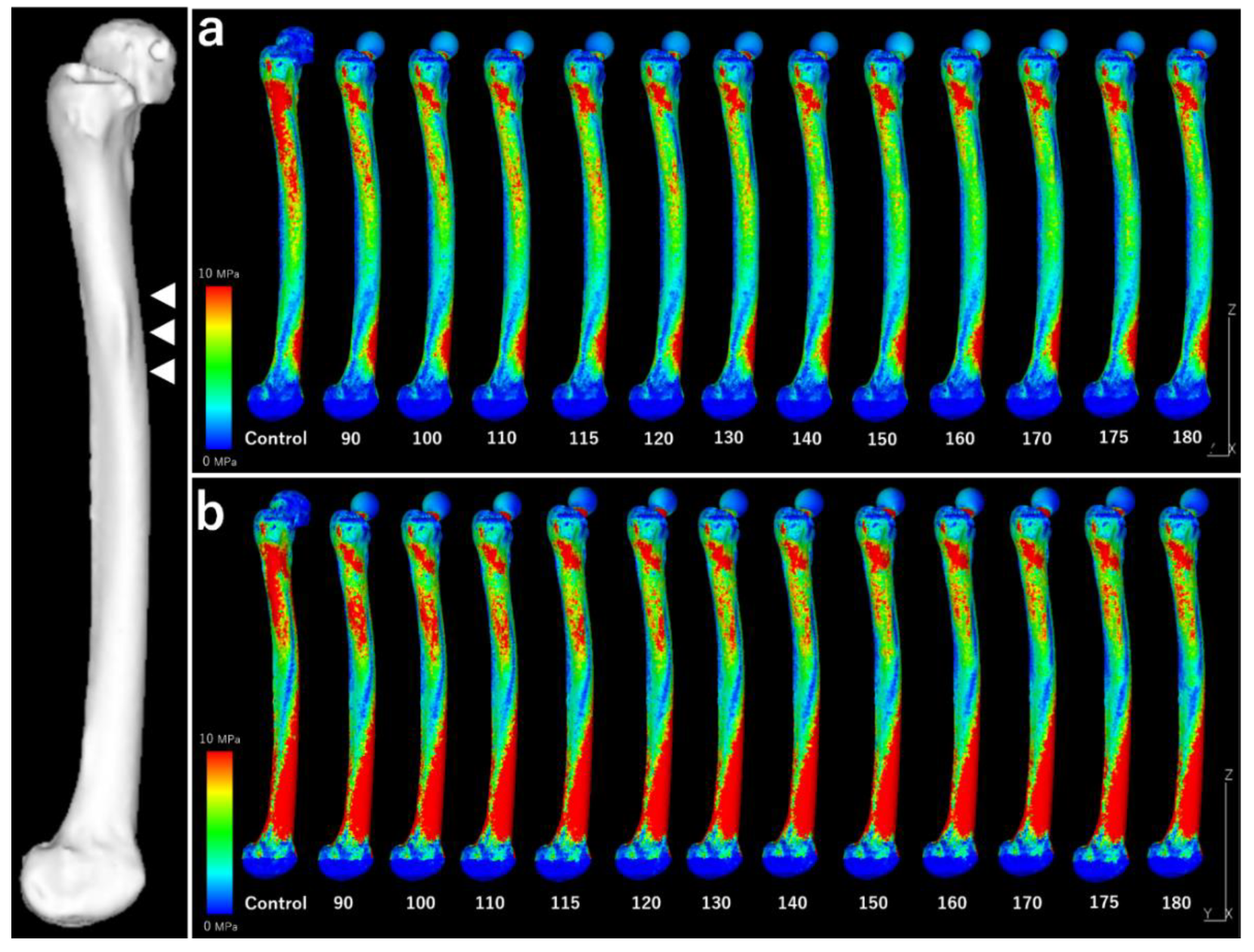 Preprints 117664 g007