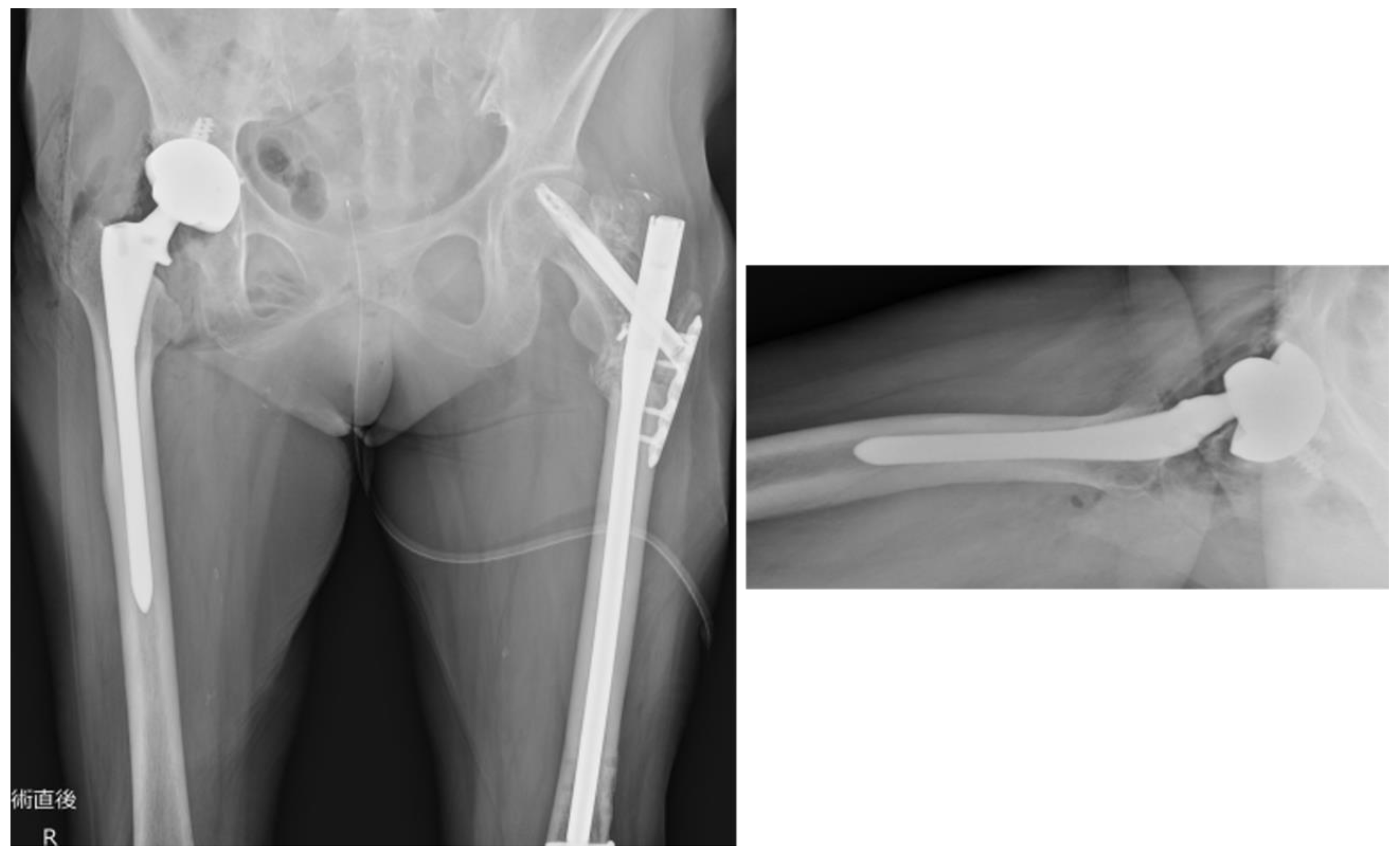 Preprints 117664 g009