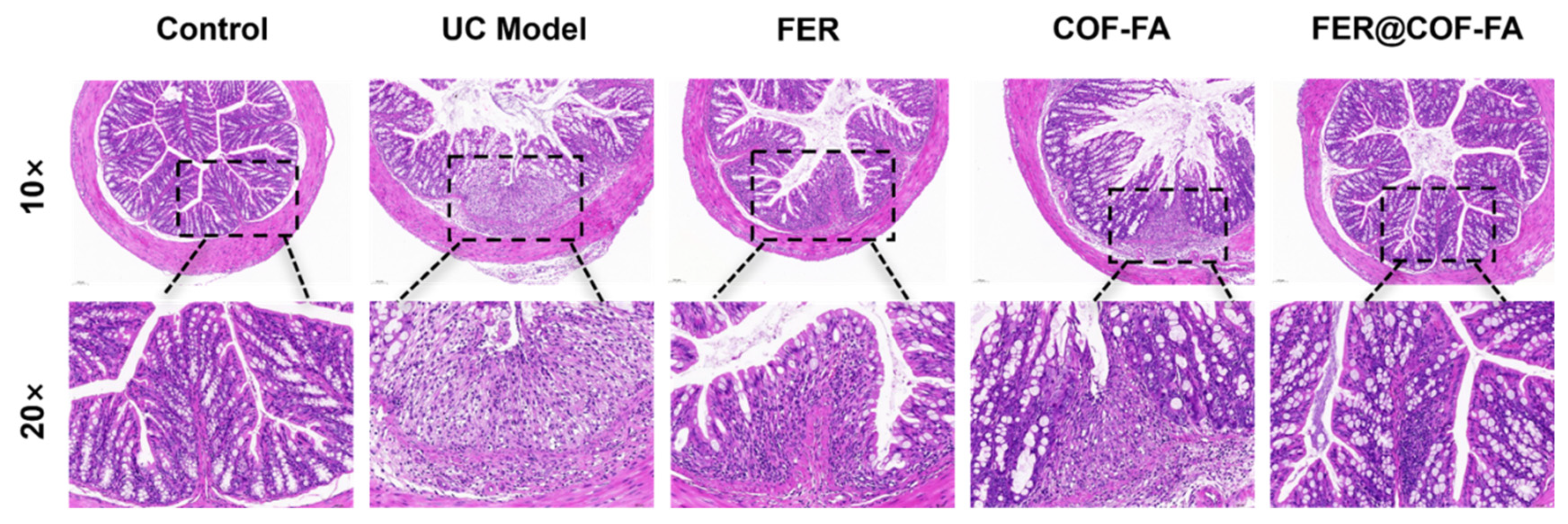Preprints 173757 g005