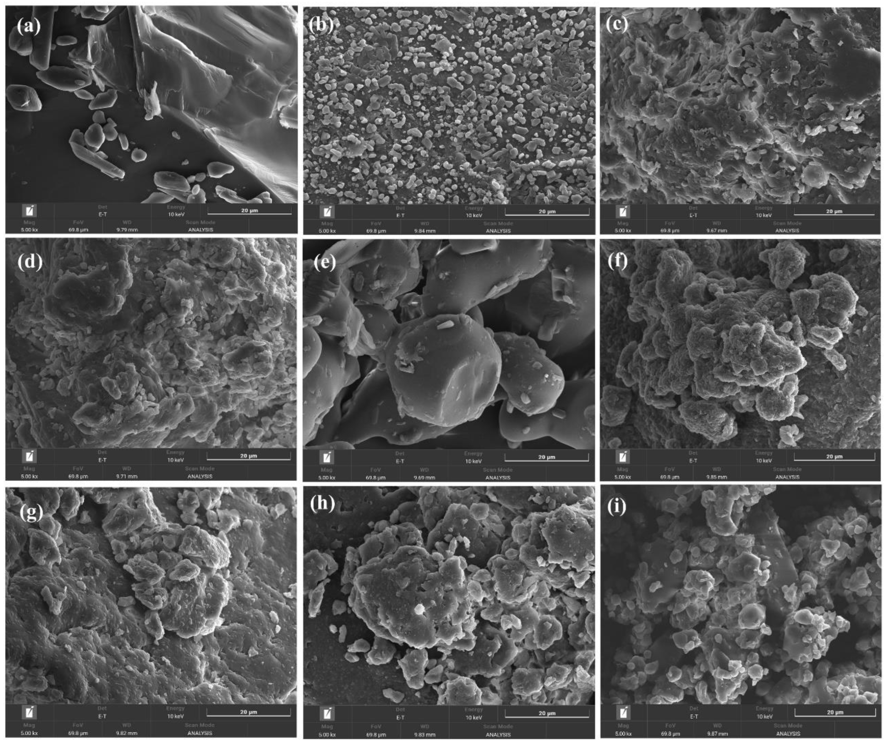 Preprints 193950 g005